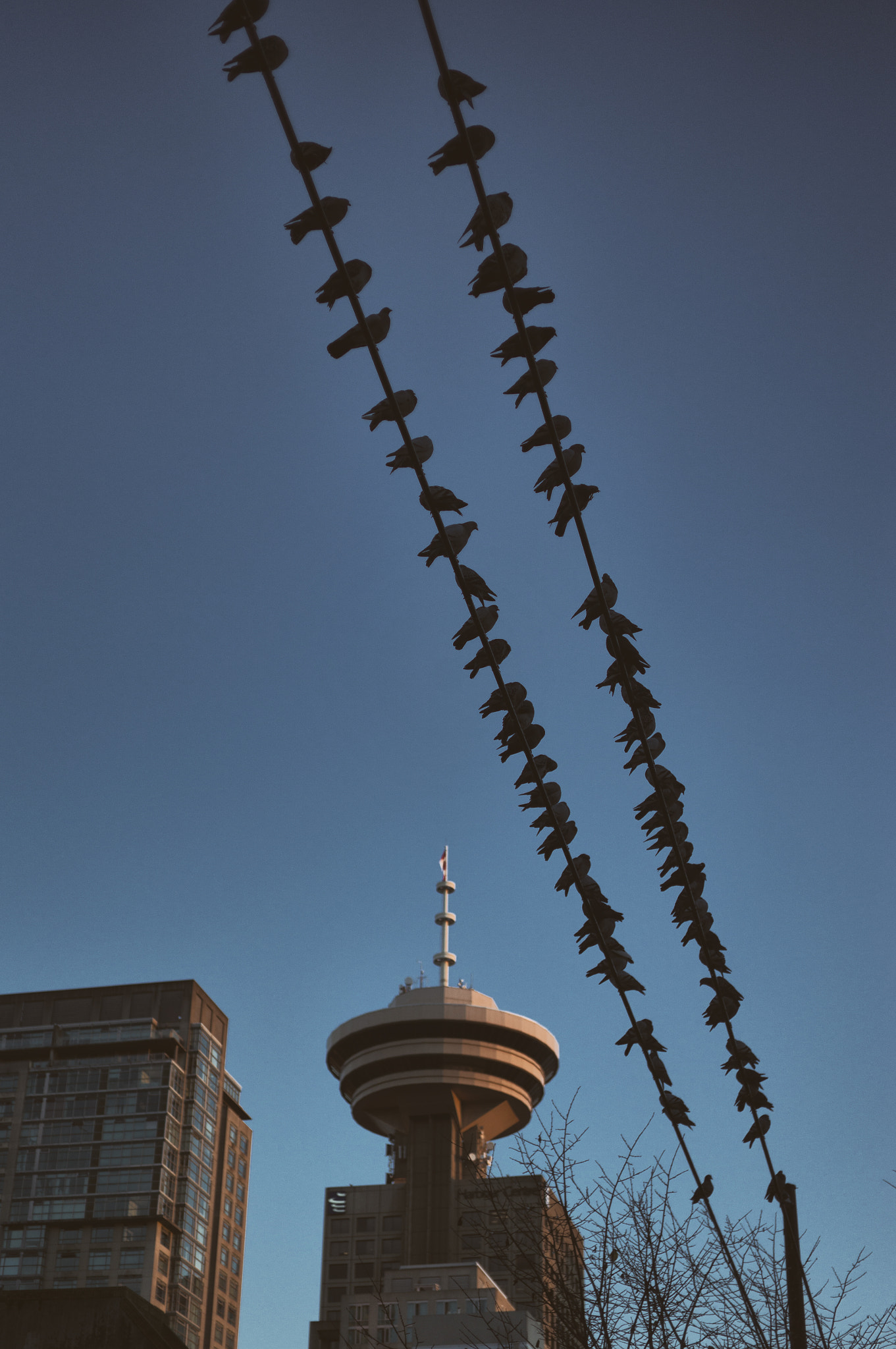 Sony Alpha NEX-6 + E 32mm F1.8 sample photo. Richards street, vancouver | british columbia photography