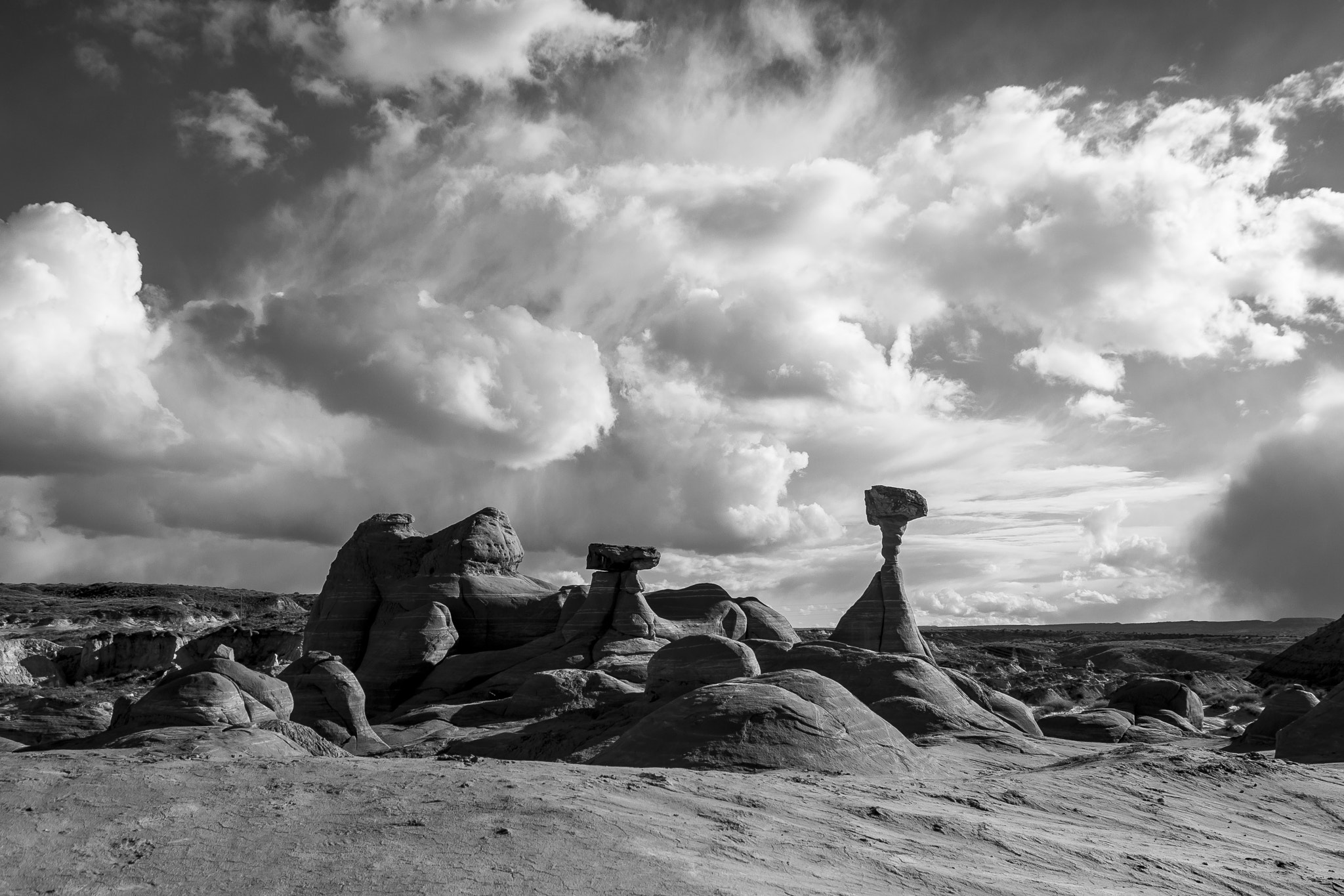 Pentax smc DA 16-45mm F4 ED AL sample photo. The toadstools photography