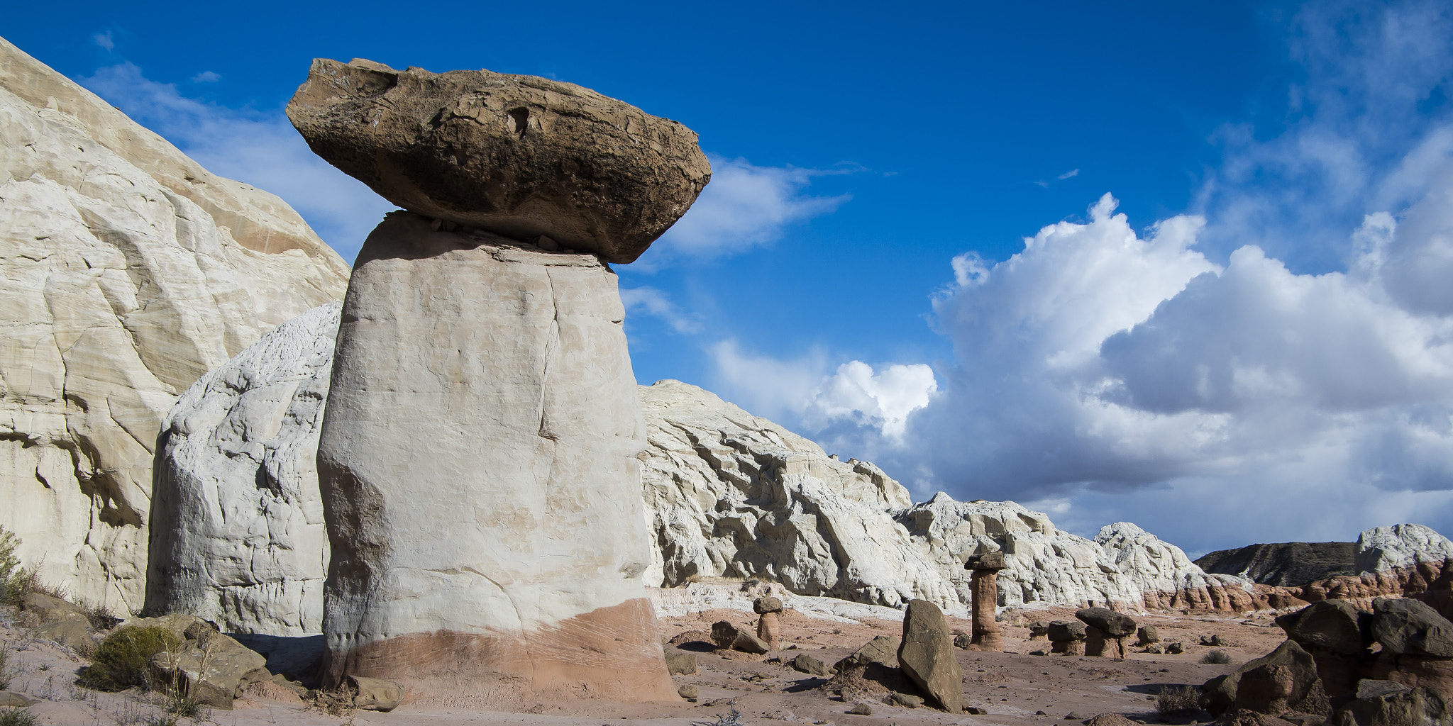 Pentax smc DA 16-45mm F4 ED AL sample photo. The toadstools photography