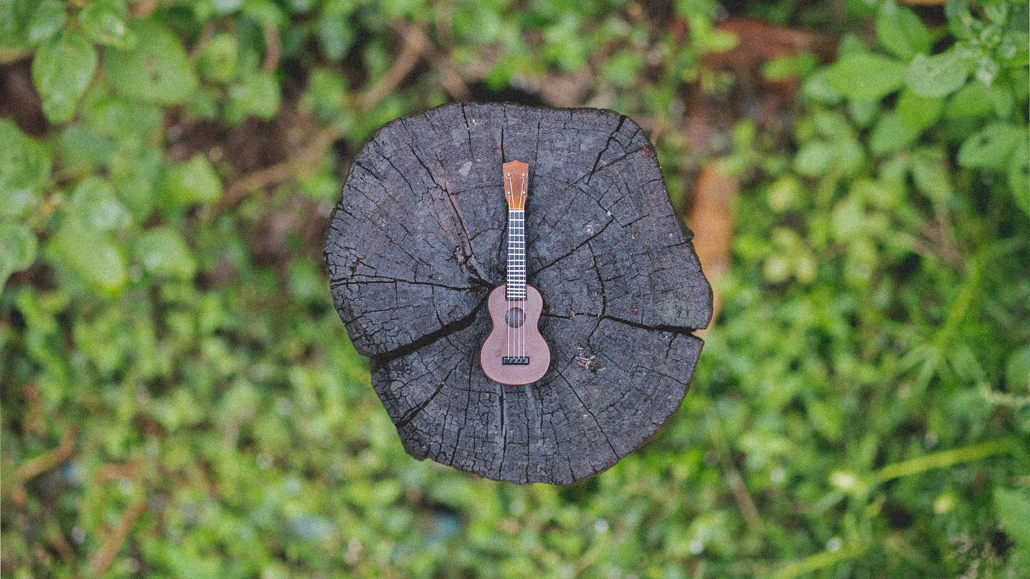 Fujifilm X-A1 + Fujifilm XF 60mm F2.4 R Macro sample photo. Ukulele on top the wood. photography