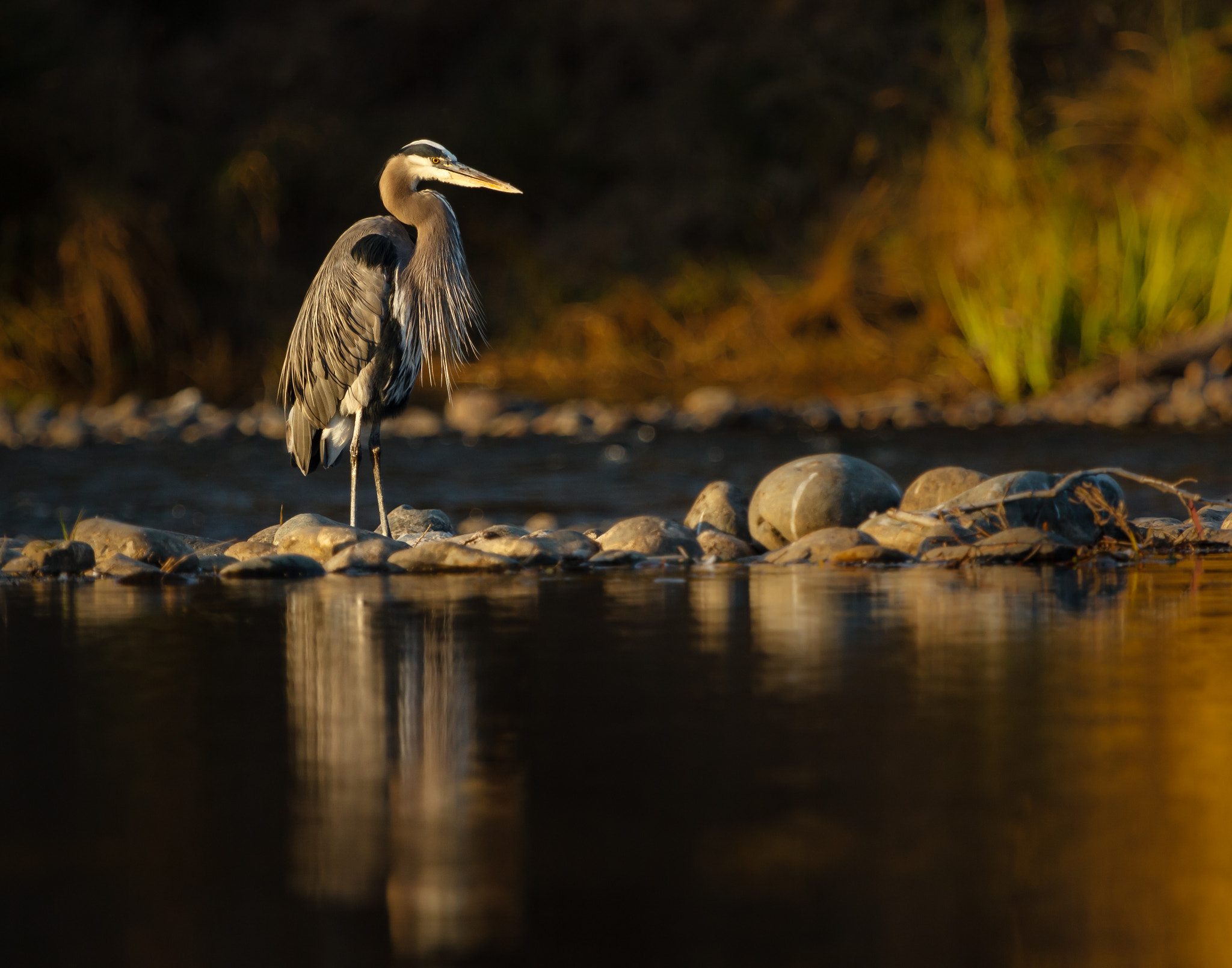 Canon EF 100-400mm F4.5-5.6L IS USM sample photo. Solitude photography