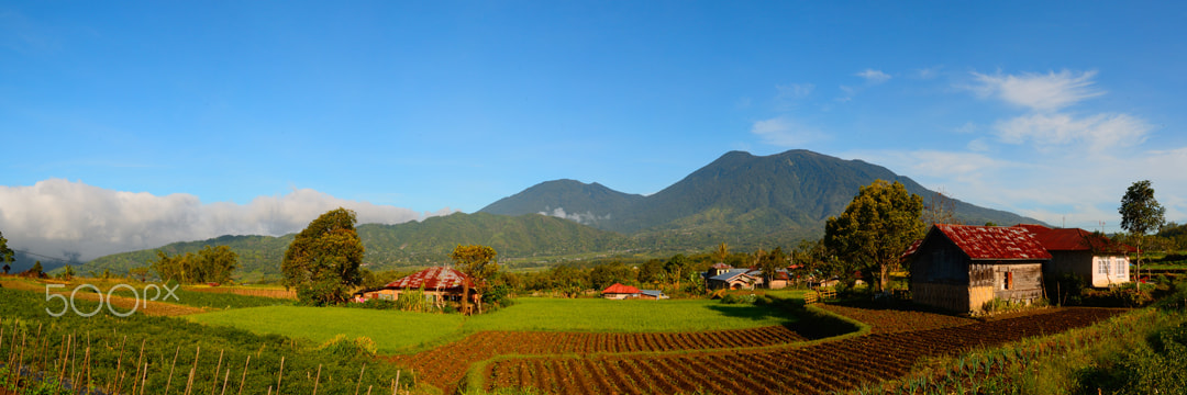 AF Zoom-Nikkor 28-80mm f/3.3-5.6G sample photo. Pedesaan photography