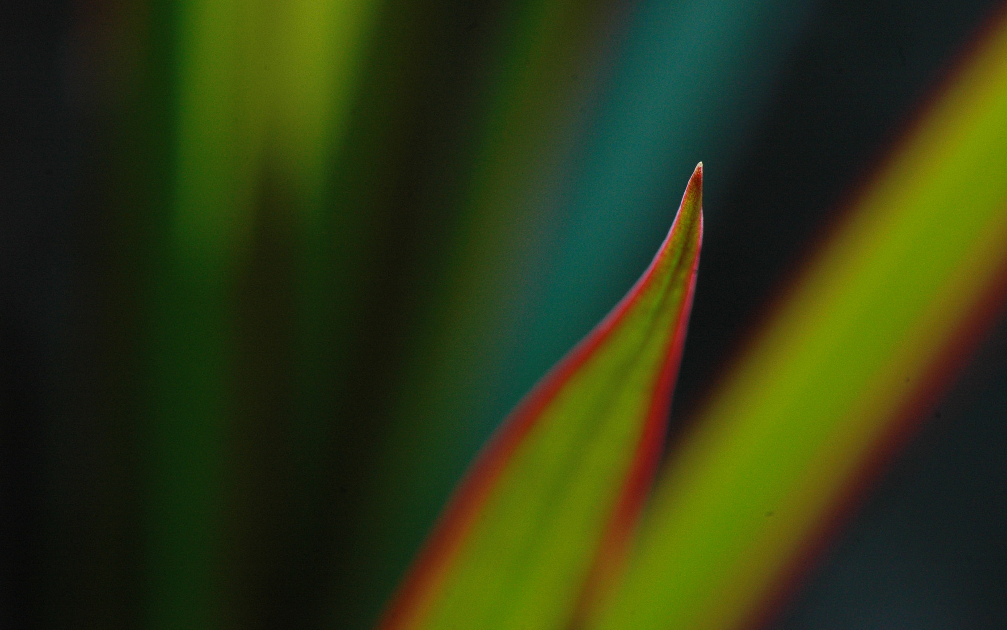 Nikon D70s sample photo. To the point photography