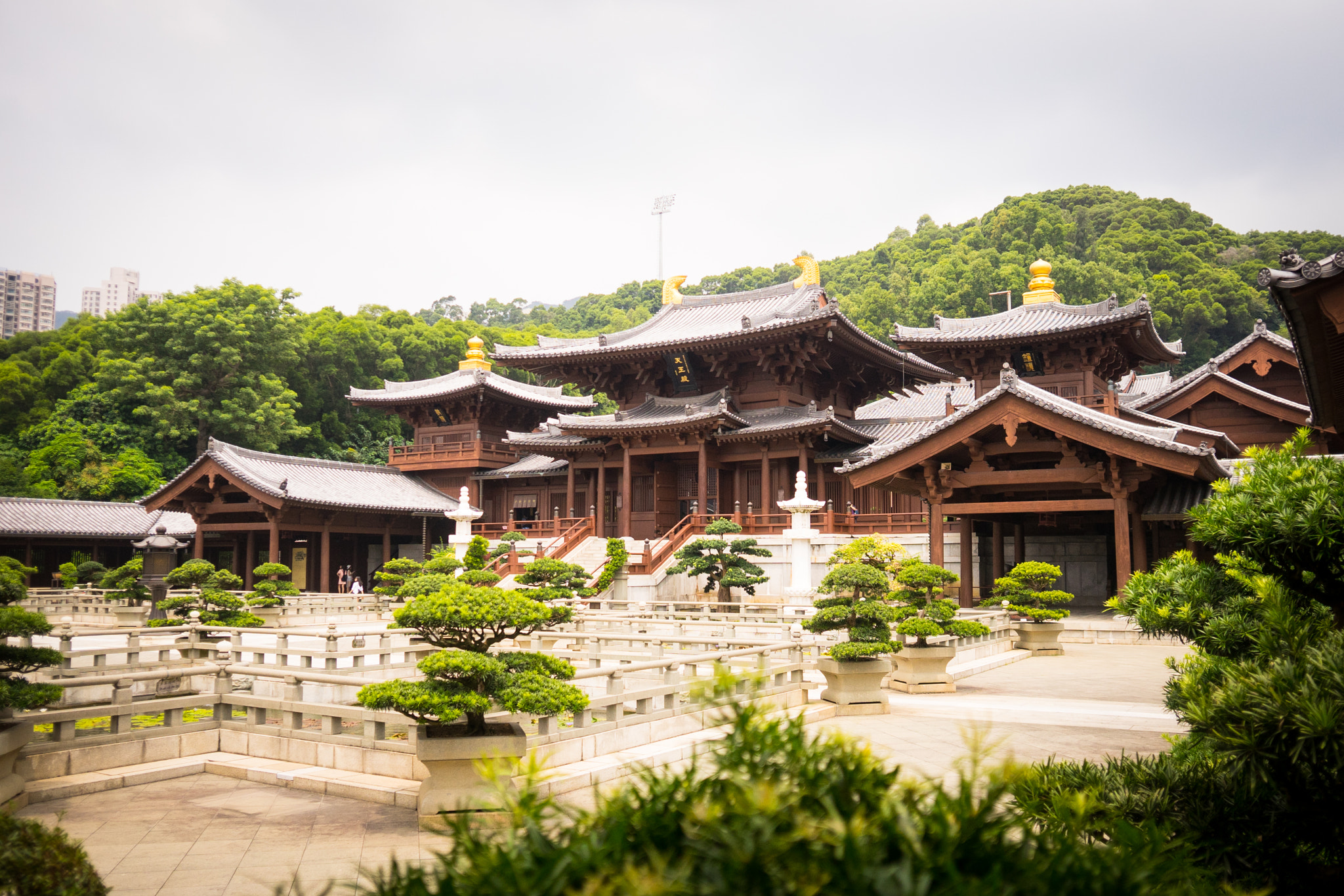 Sony a7 + Sigma 19mm F2.8 EX DN sample photo. Chi lin nunnery.jpg photography