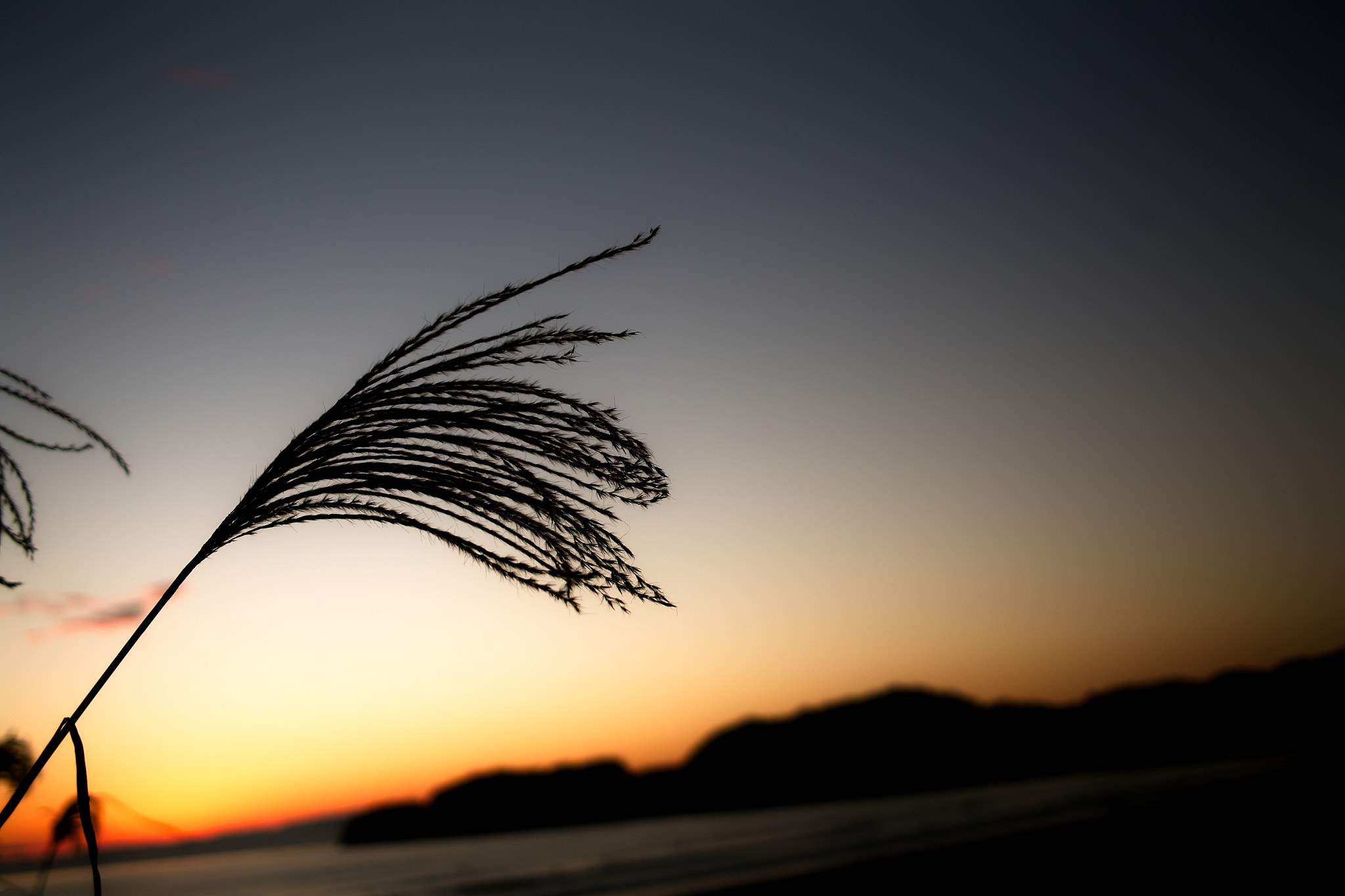 Sigma DP2x sample photo. Sunset photography