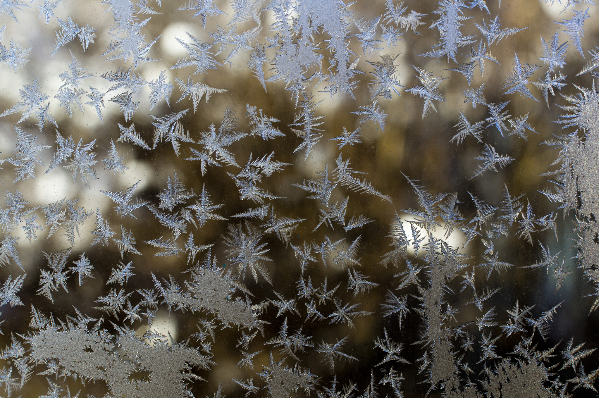 Sony Alpha DSLR-A580 + Sony DT 35mm F1.8 SAM sample photo. Winter stars photography