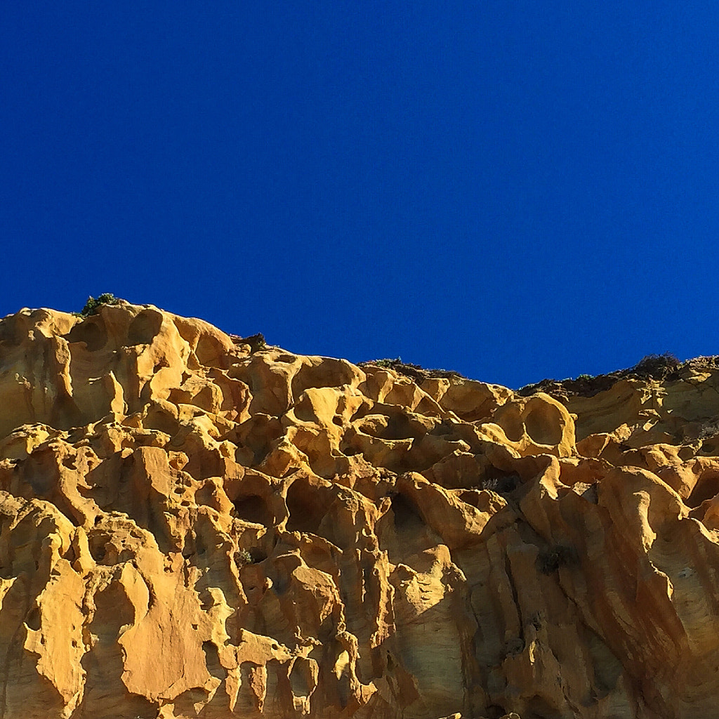 Torrey Pines National Park by Jose Alvarez Carrera / 500px