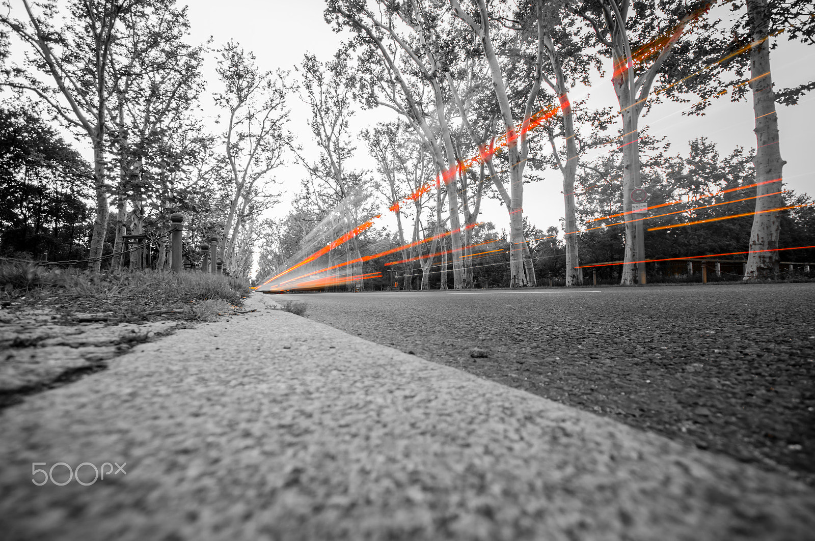 Sigma AF 10-20mm F4-5.6 EX DC sample photo. Light trails in treptower park, berlin, germany photography