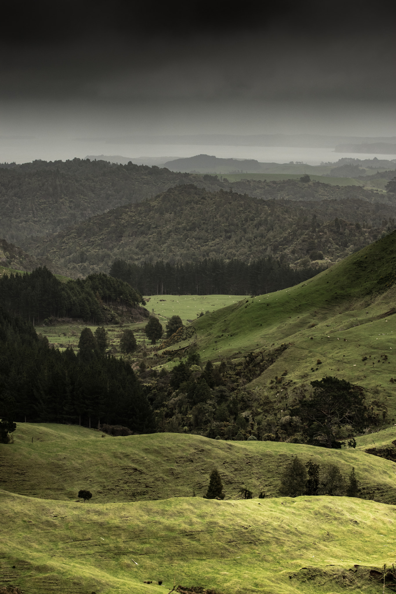 Nikon AF-S Nikkor 70-200mm F4G ED VR sample photo. Kawhia hillscape photography