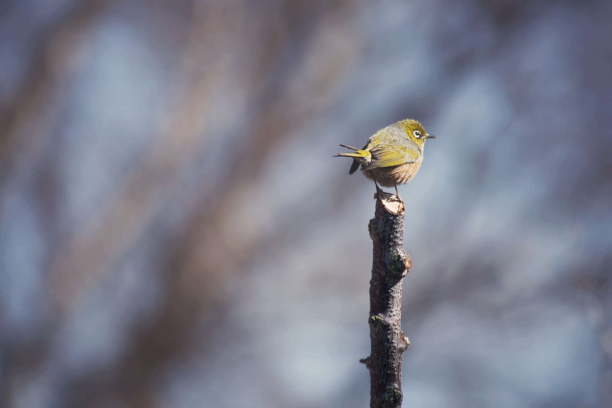 Canon EF 90-300mm F4.5-5.6 sample photo. Last outpost photography