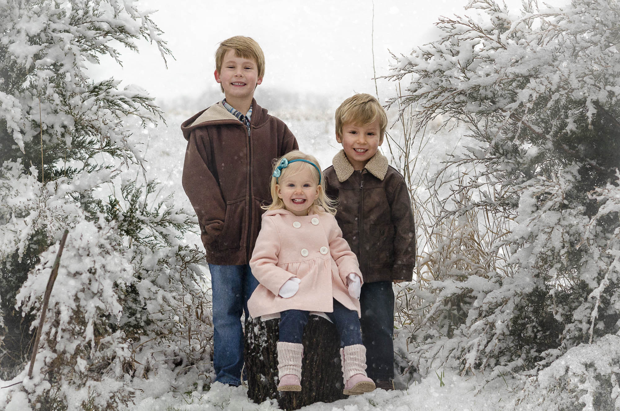 Nikon D7000 + Nikon AF-S Nikkor 85mm F1.4G sample photo. Christmas card photography