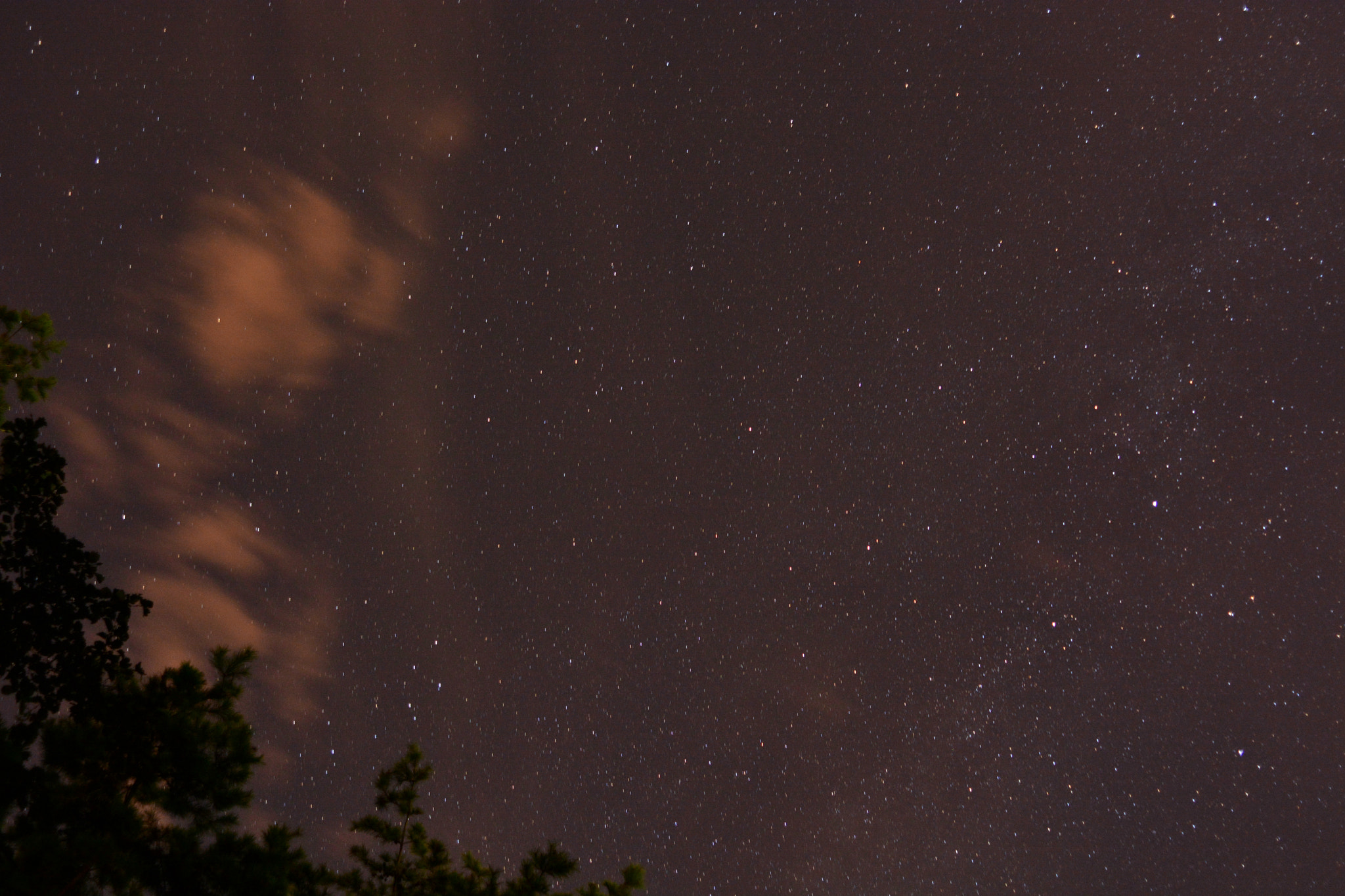 Manual Lens No CPU sample photo. 무제.jpg photography