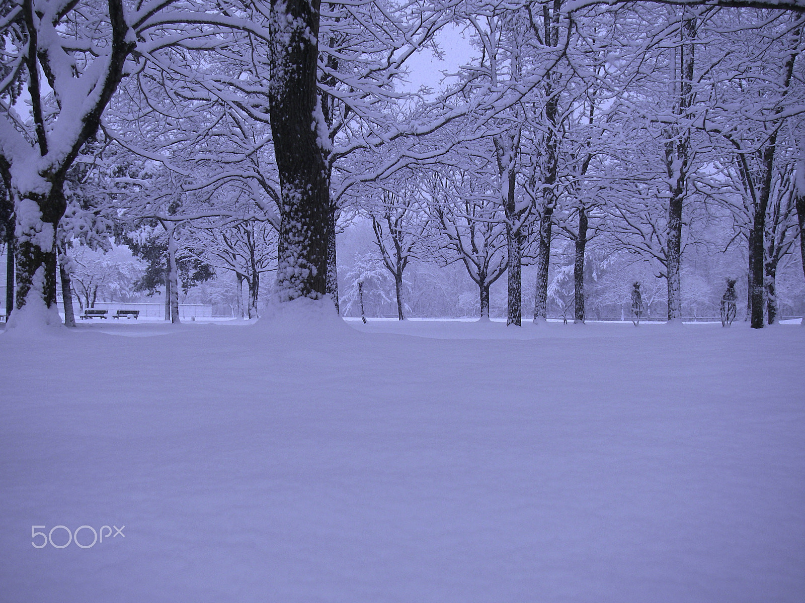 Pentax OPTIO W20 sample photo. Imgp5271-1.jpg photography