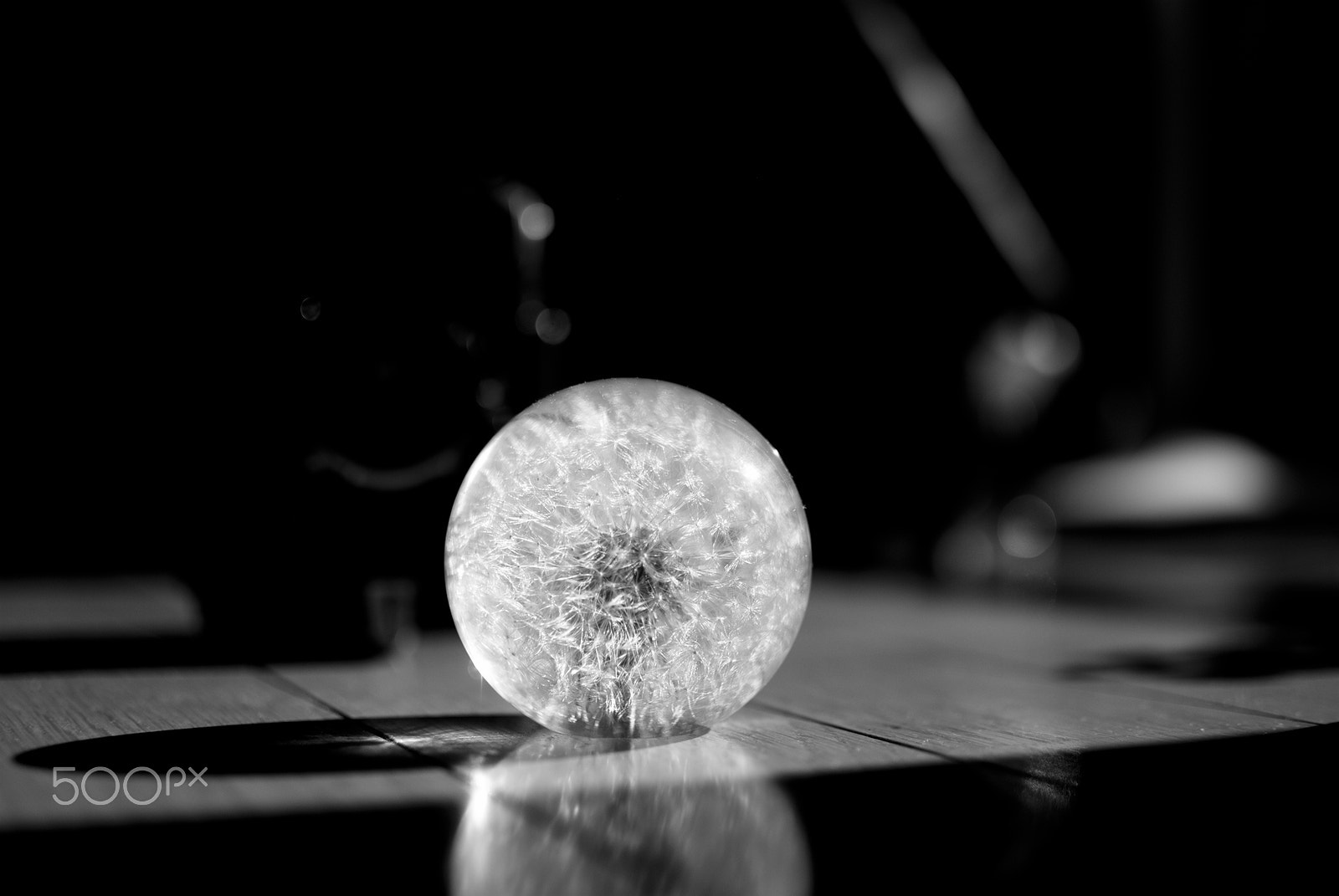 Nikon D40X + Nikon AF-S DX Nikkor 35mm F1.8G sample photo. Dandelion photography