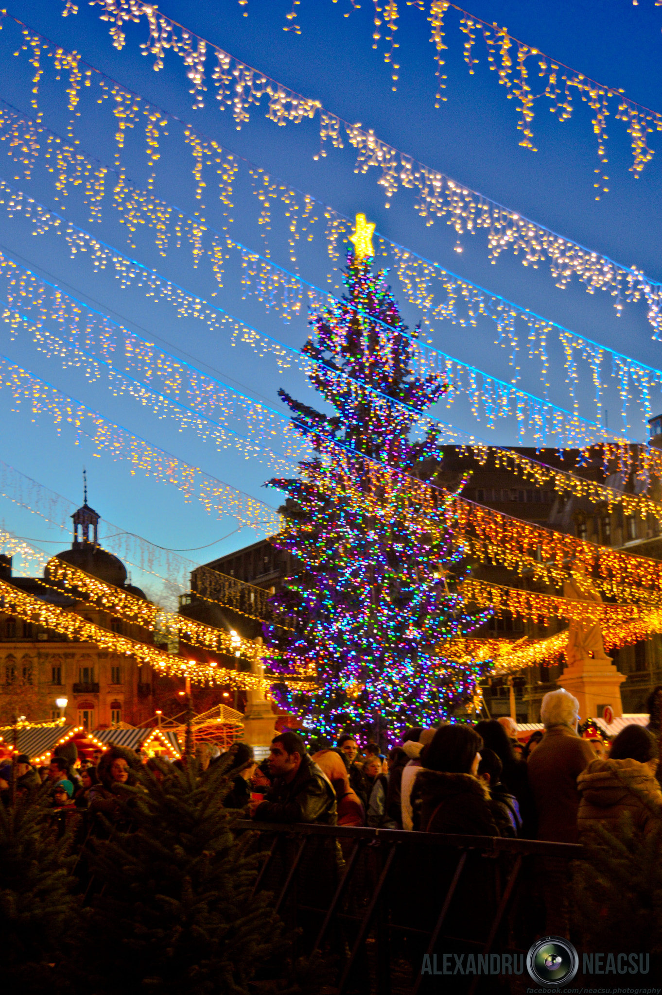 Nikon D3200 + Sigma 50mm F1.4 DG HSM Art sample photo. Bucharest christmas market photography