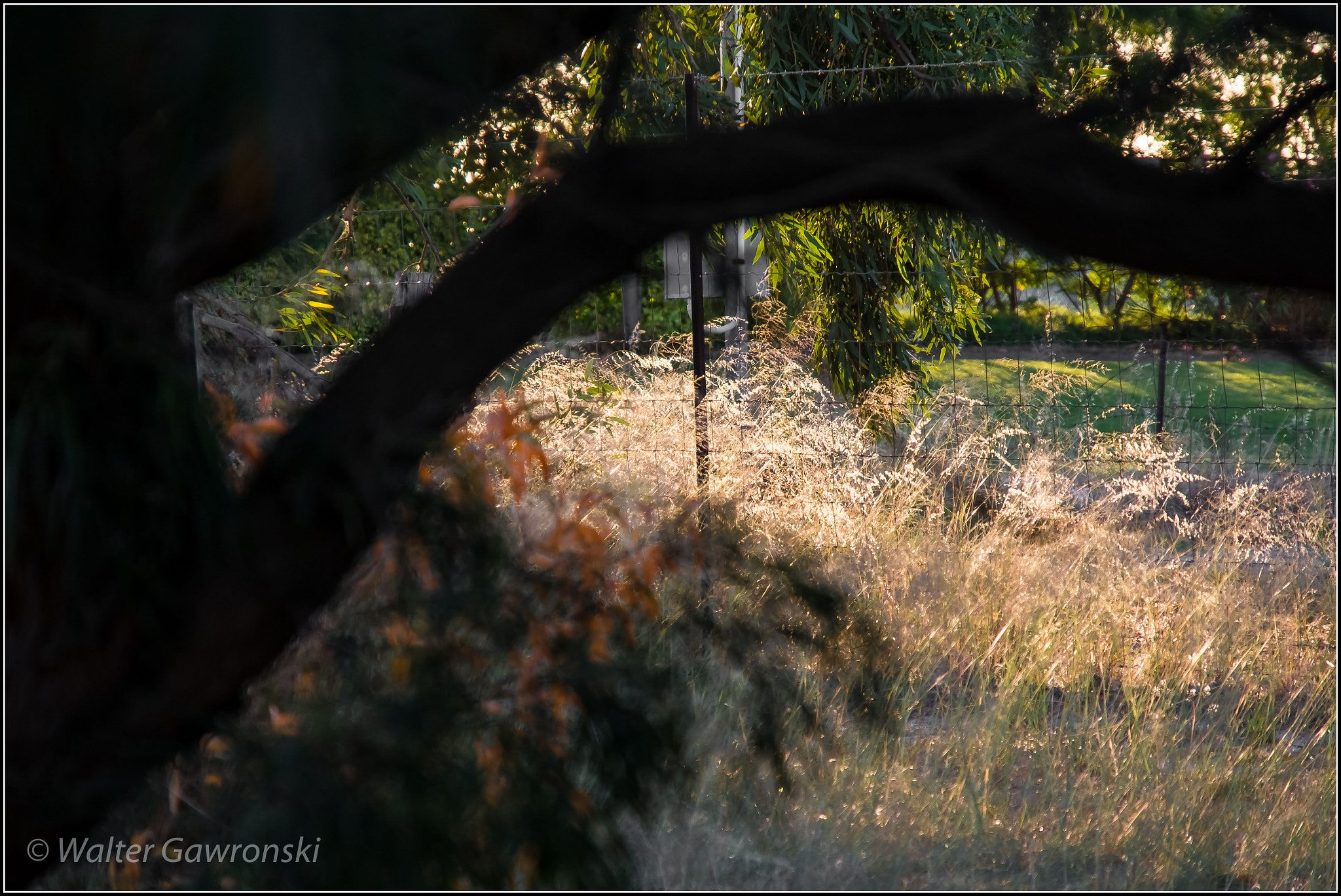 Fujifilm X-E1 + Fujifilm XF 18-135mm F3.5-5.6 R LM OIS WR sample photo. Secret garden photography