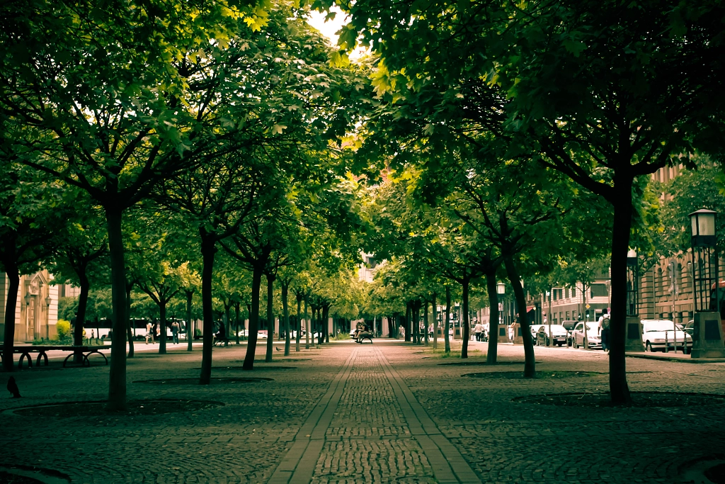 Alleyway in Berlin -- Day 7 by Jonas Schneider on 500px.com