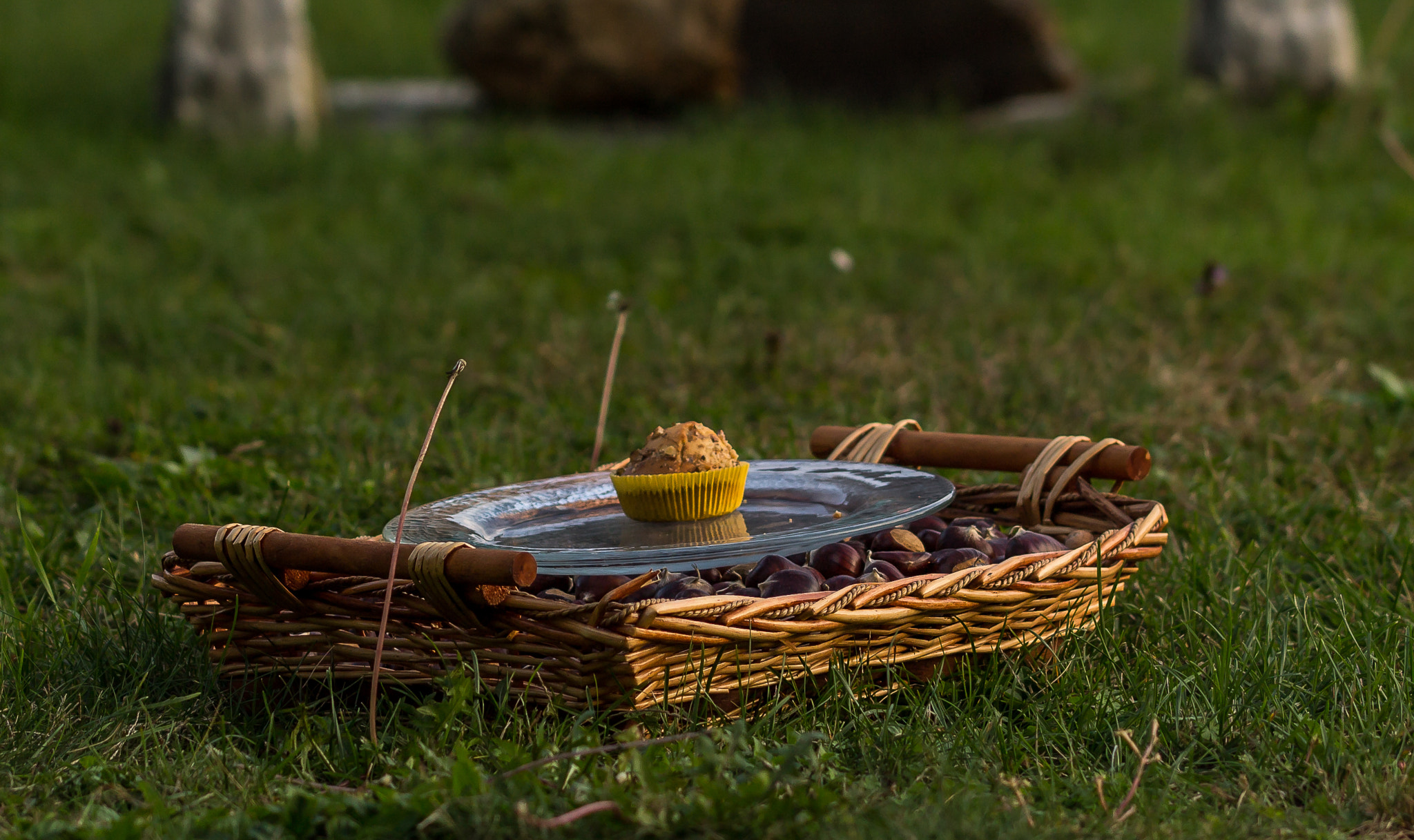 Sigma 105mm F2.8 EX DG OS HSM sample photo. A muffin photography
