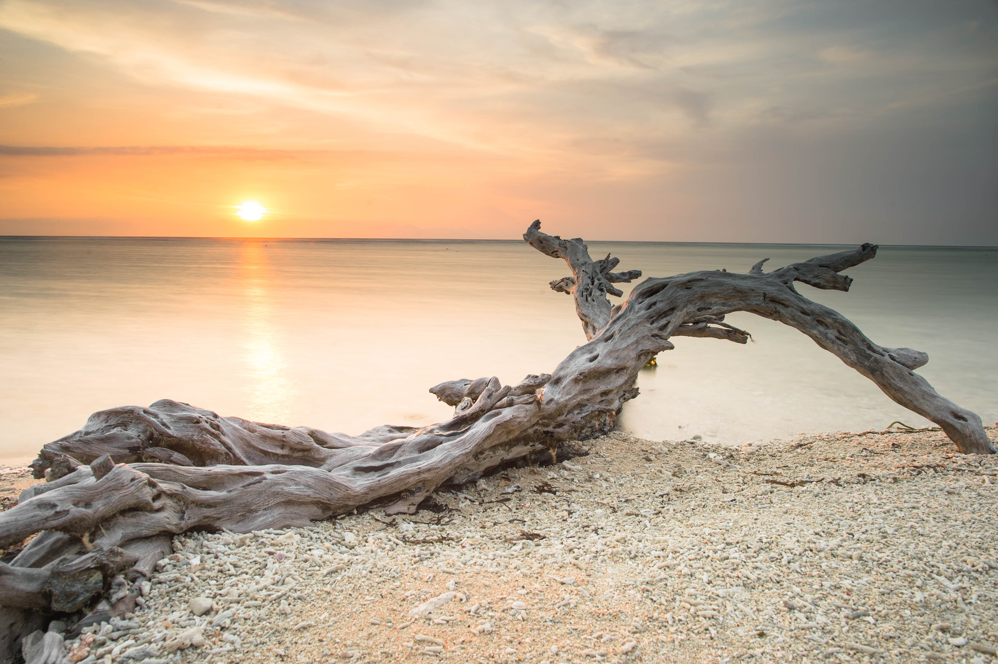 Nikon Df + Nikon AF-S Nikkor 24mm F1.4G ED sample photo. Lombok photography