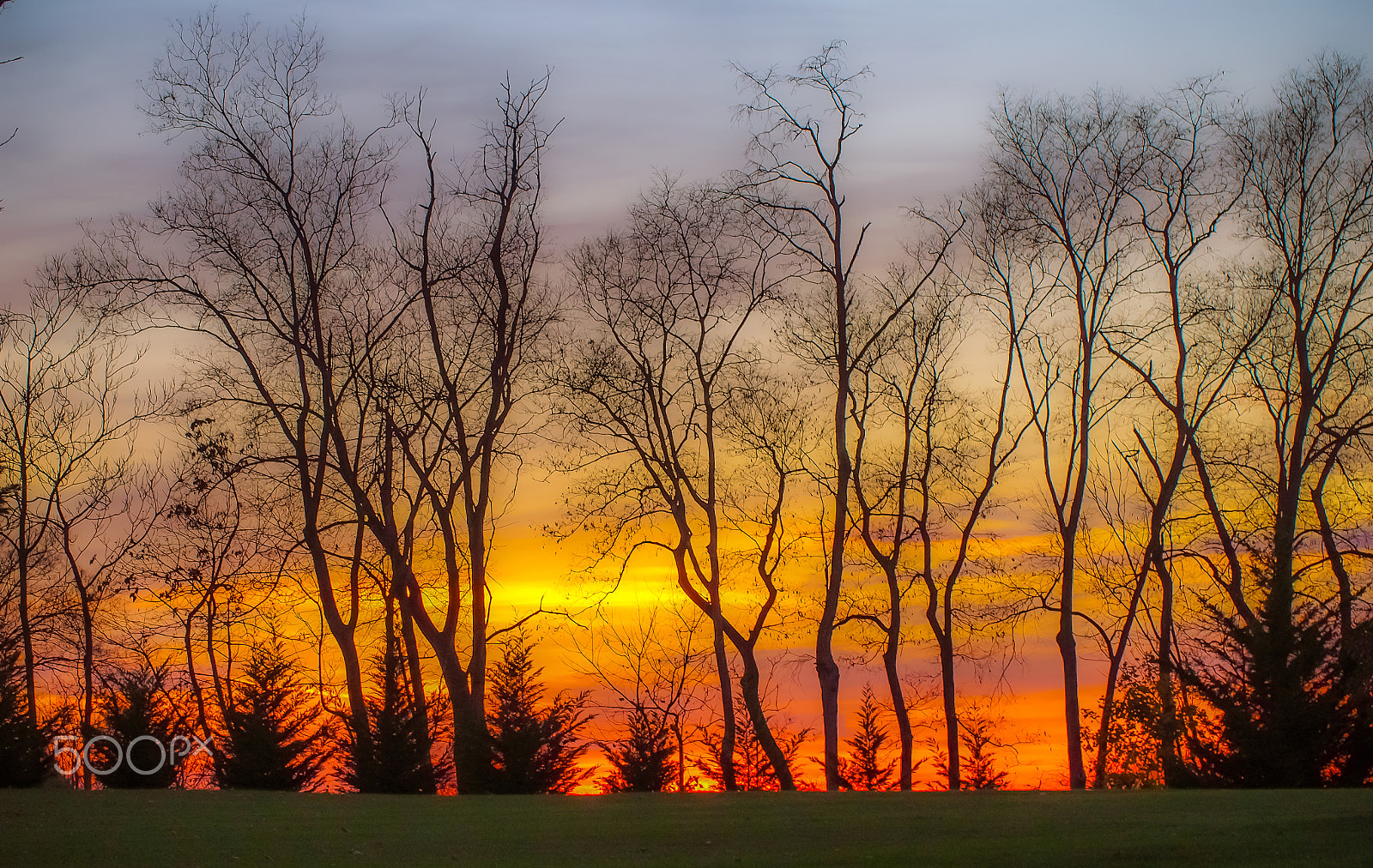 Olympus PEN E-PL5 sample photo. Sunset thanksgiving day photography