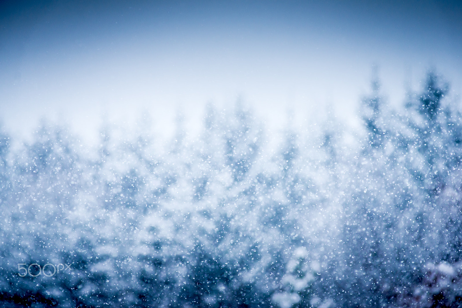 Nikon D610 + Nikon AF Nikkor 180mm F2.8D ED-IF sample photo. The day when winter came photography