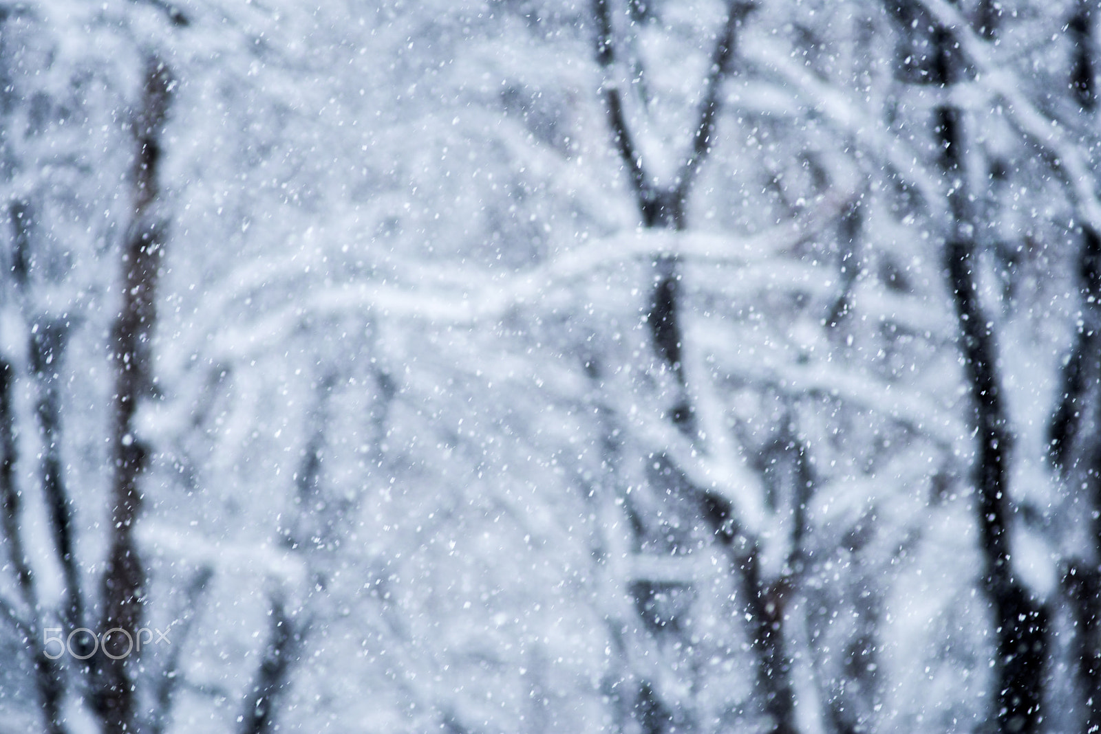 Nikon D610 + Nikon AF Nikkor 180mm F2.8D ED-IF sample photo. The day when winter came photography