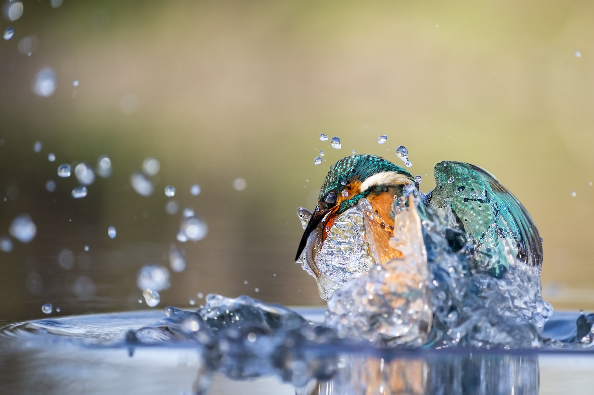 Nikon AF-S Nikkor 70-200mm F4G ED VR sample photo. Fishing time photography