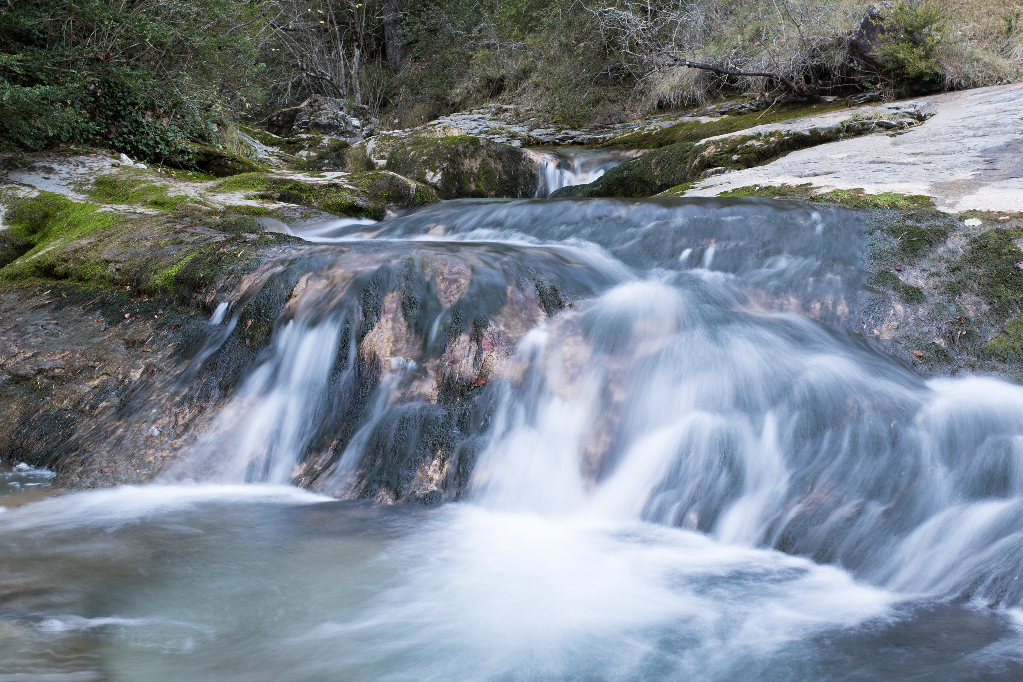 Canon EF 35mm F2 IS USM sample photo. Aula natura 2015 photography