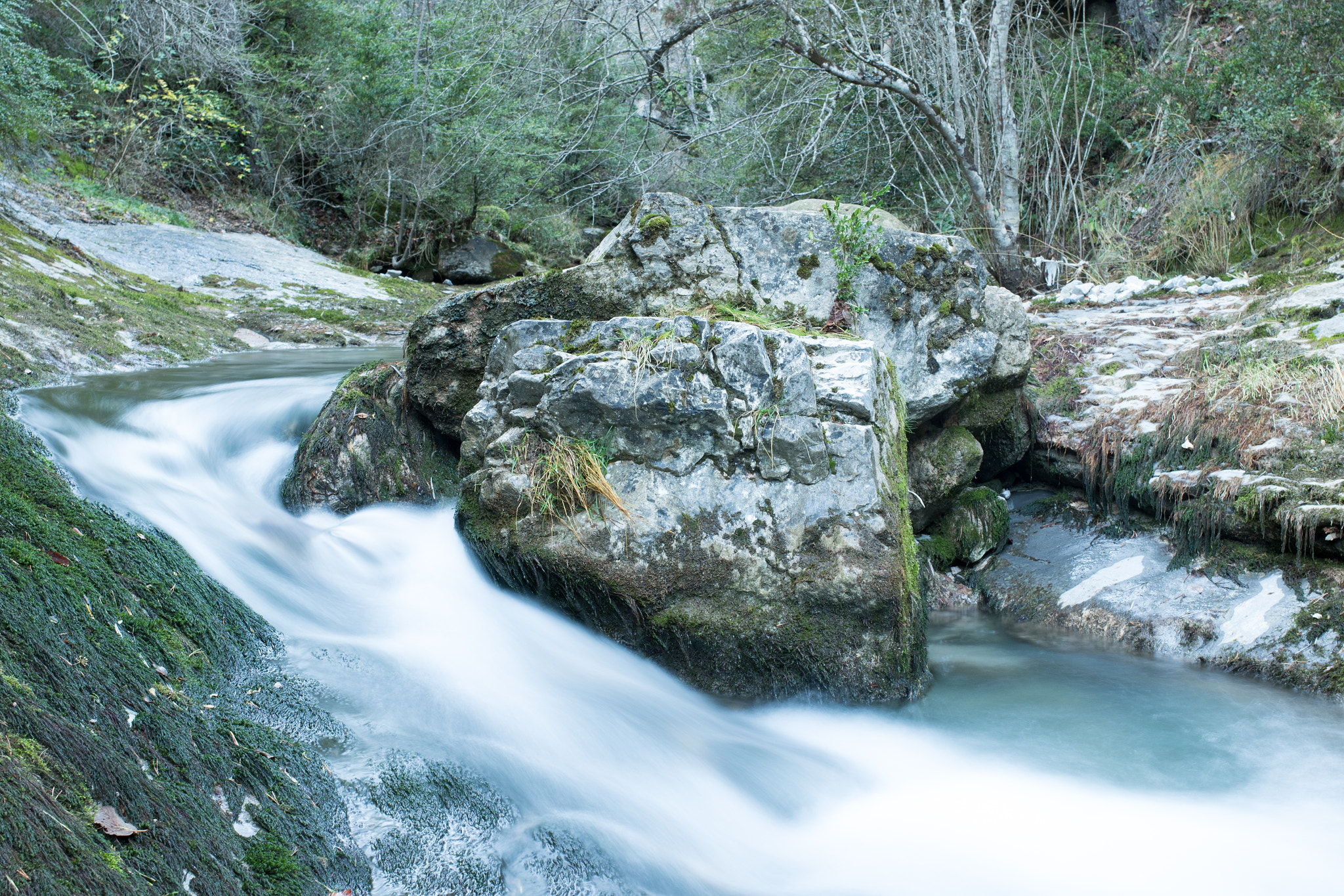 Canon EF 35mm F2 IS USM sample photo. Aula natura 2015 photography