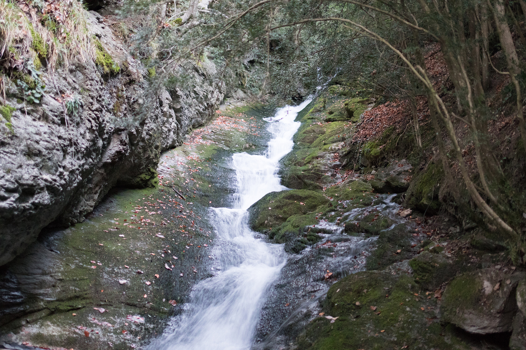 Canon EF 35mm F2 IS USM sample photo. Aula natura 2015 photography