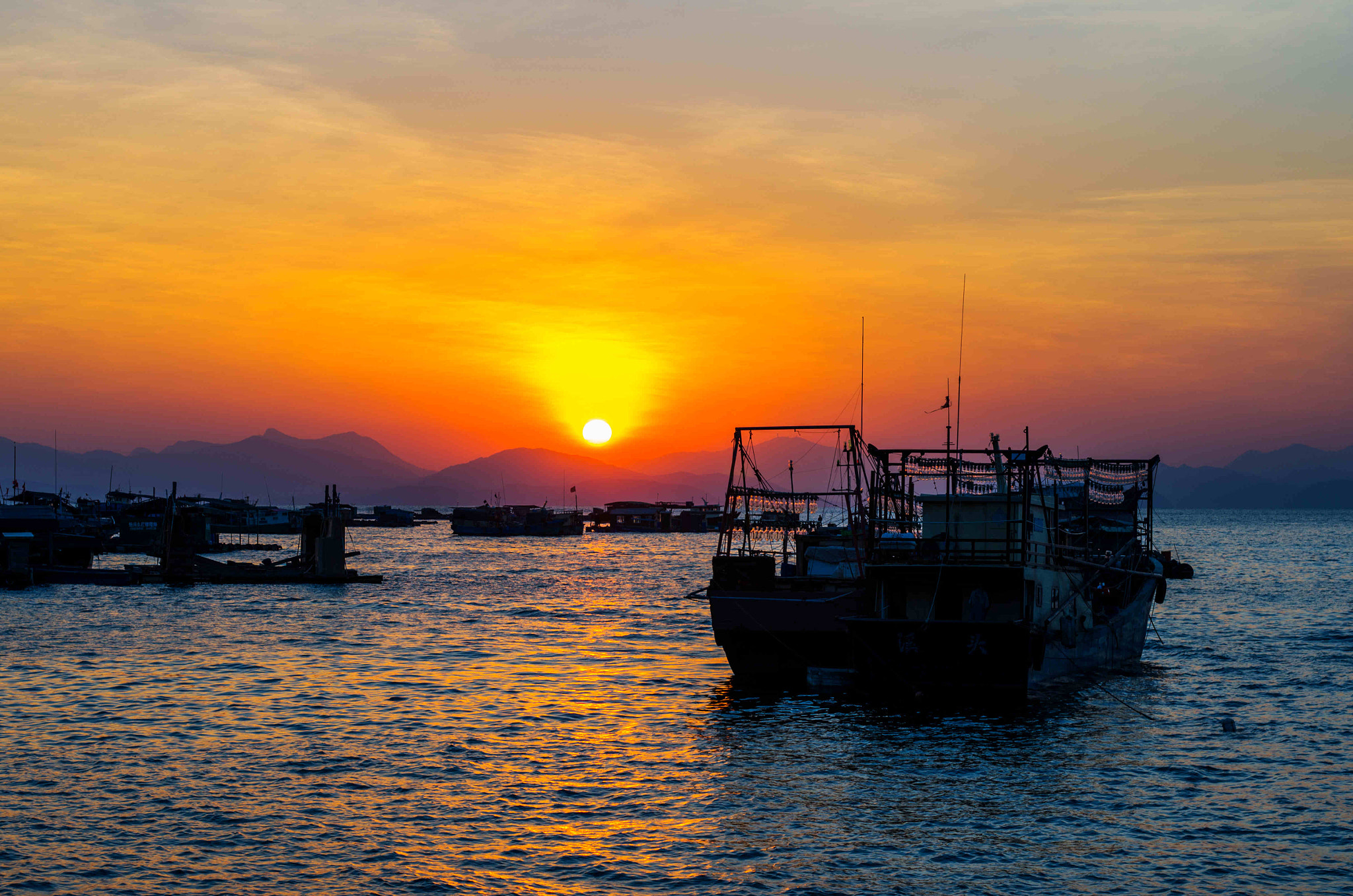 Pentax K-5 II + smc PENTAX-F 50mm F1.7 sample photo. 副本 photography