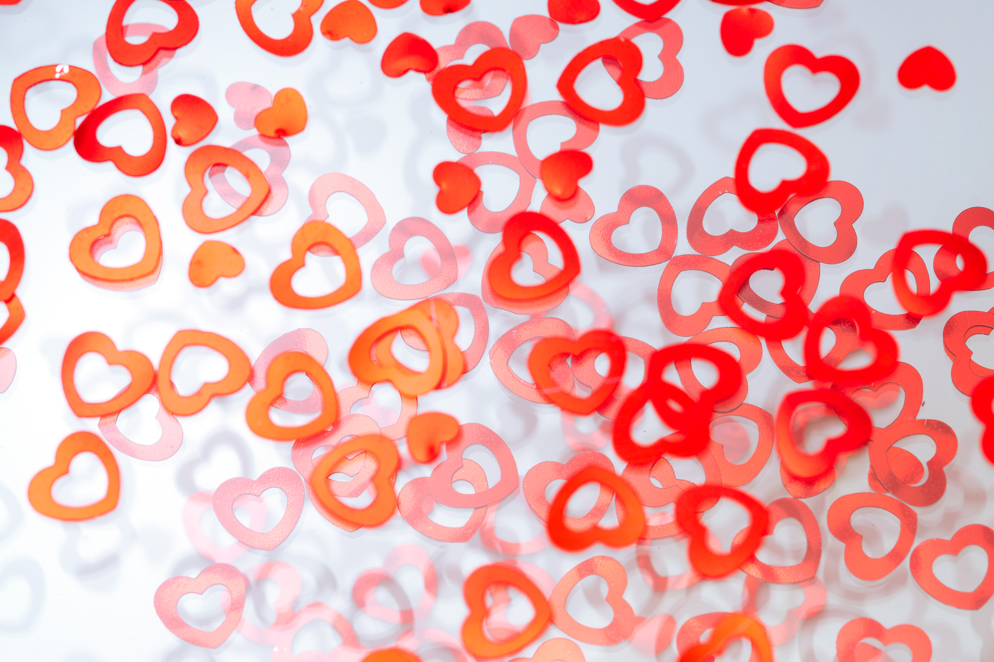 Sony ILCA-77M2 + 90mm F2.8 Macro SSM sample photo. Love is all around photography