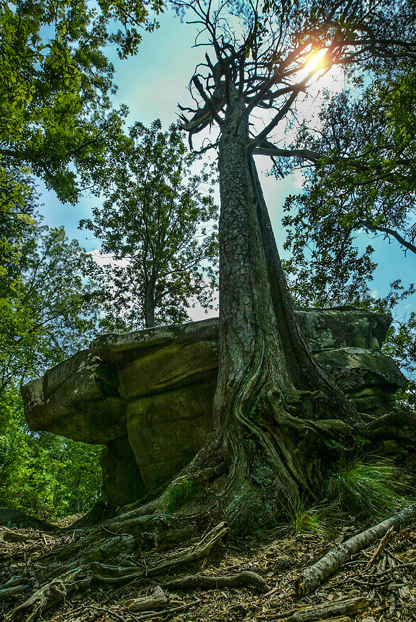 Canon EOS-1D + Canon EF 16-35mm F2.8L II USM sample photo. Lookout mountain photography