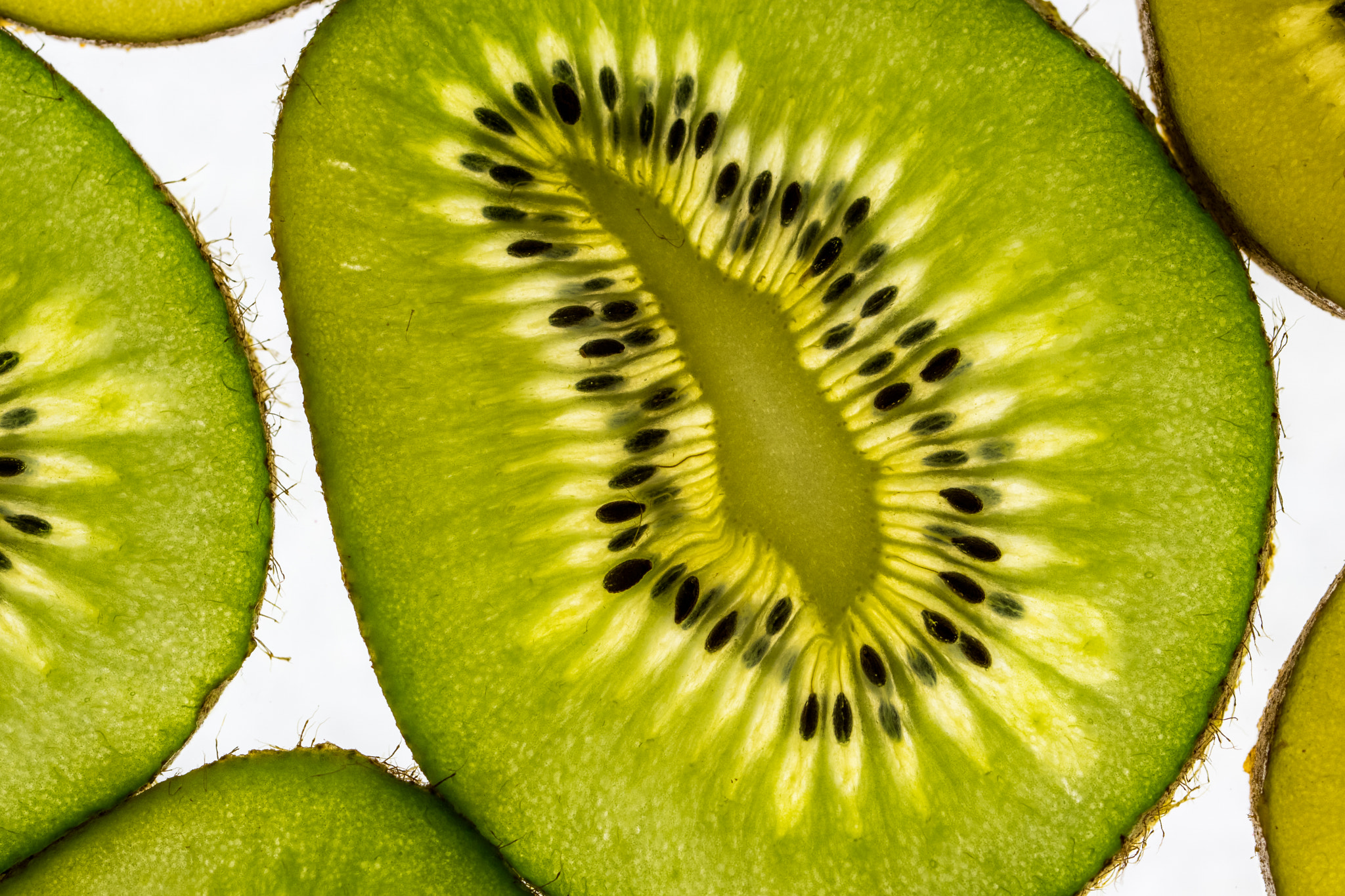 Sony ILCA-77M2 + 90mm F2.8 Macro SSM sample photo. Kiwi photography