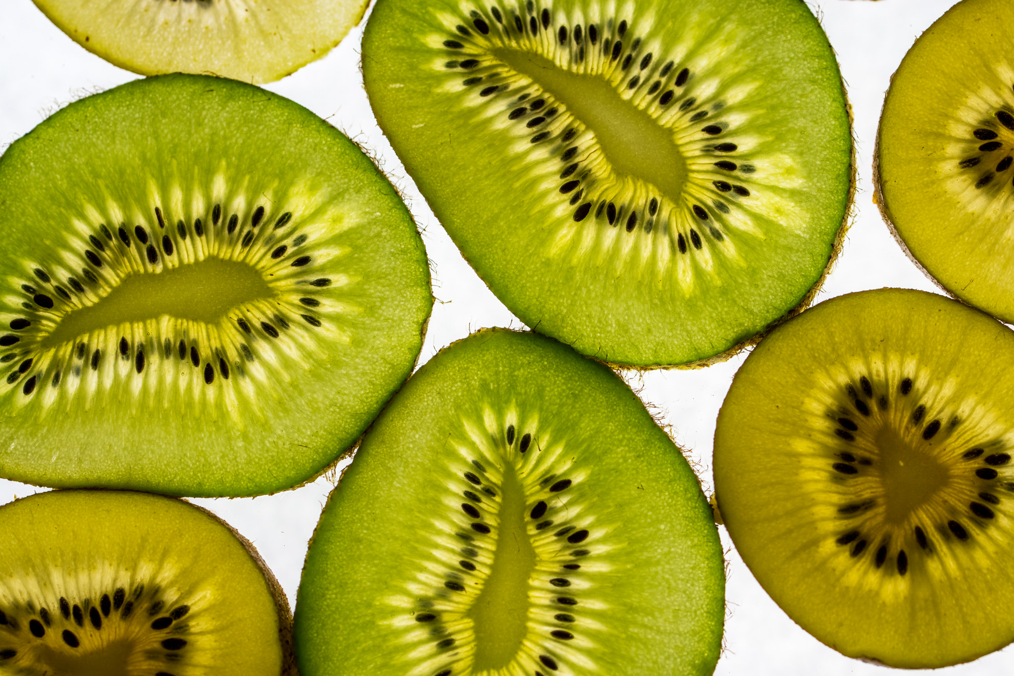 Sony ILCA-77M2 + 90mm F2.8 Macro SSM sample photo. Kiwi photography