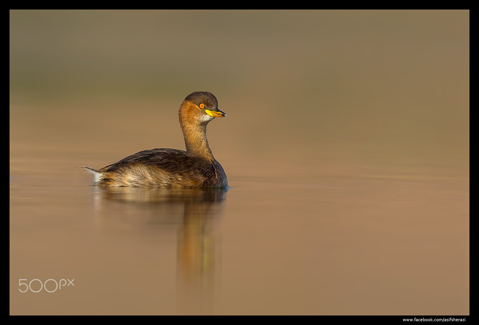 Nikon D4S sample photo. Beauty of the nature photography