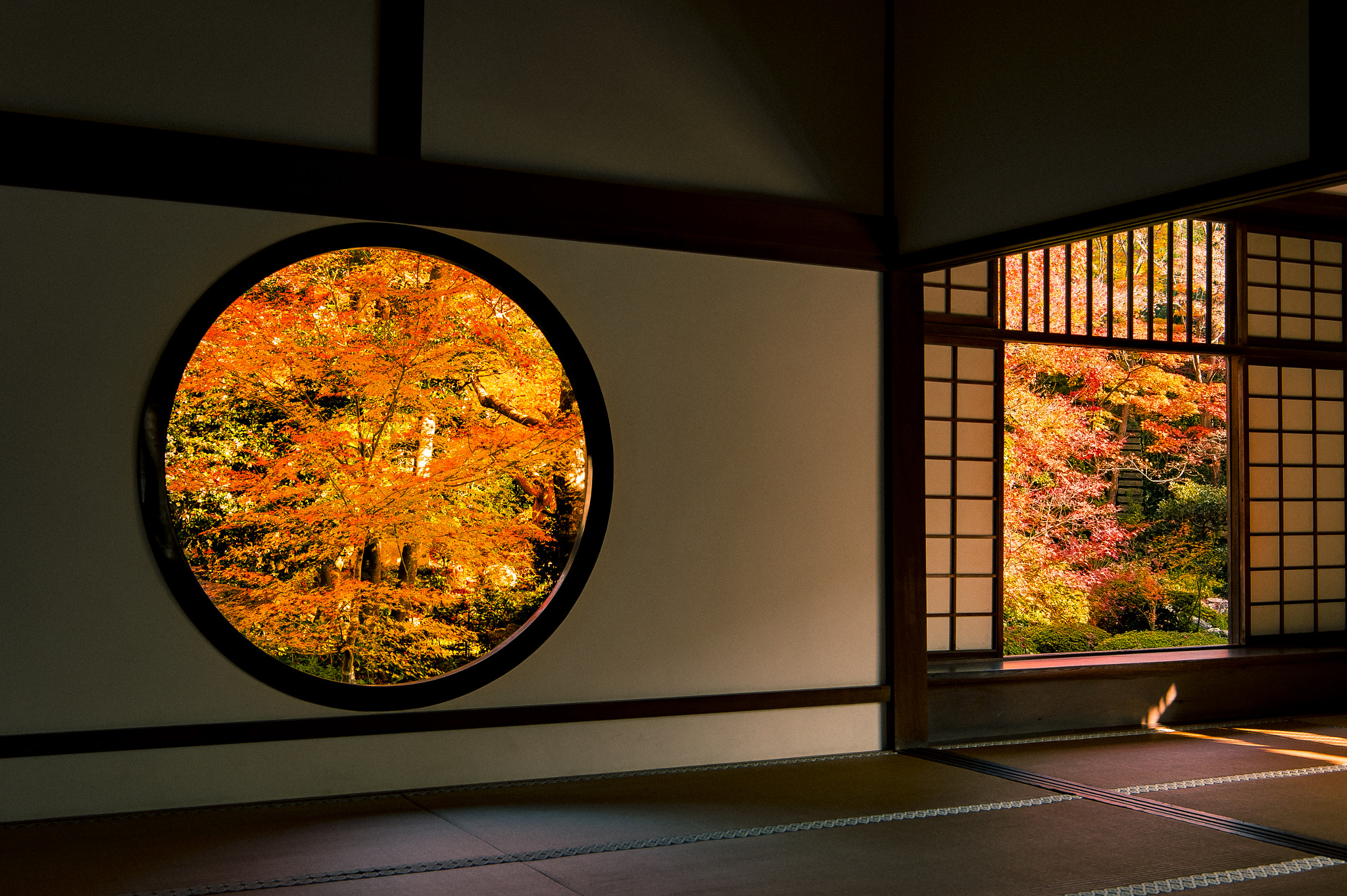 Nikon Df sample photo. Window of the realization 2015 photography