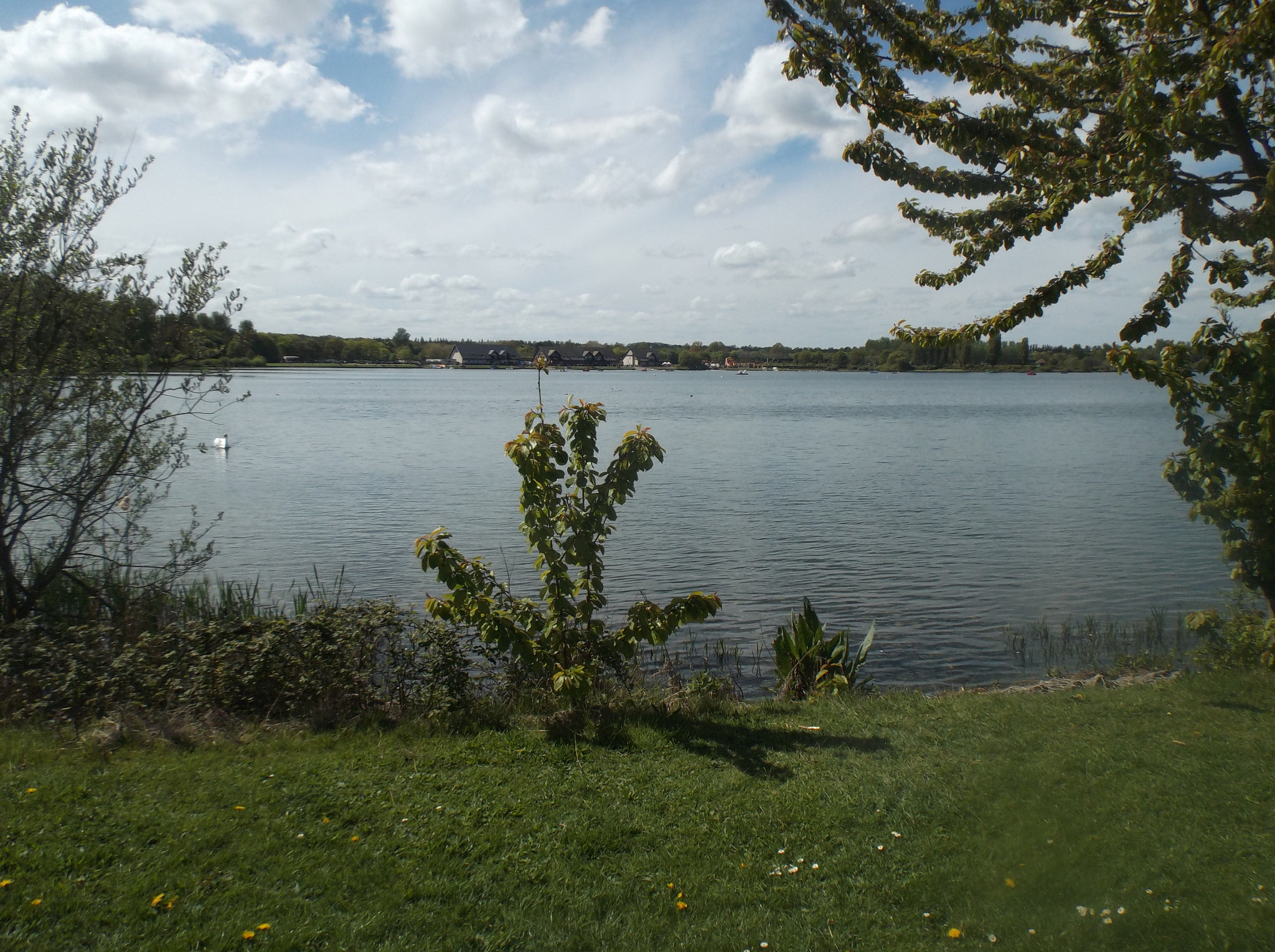 Fujifilm FinePix T500 sample photo. Willen lake photography