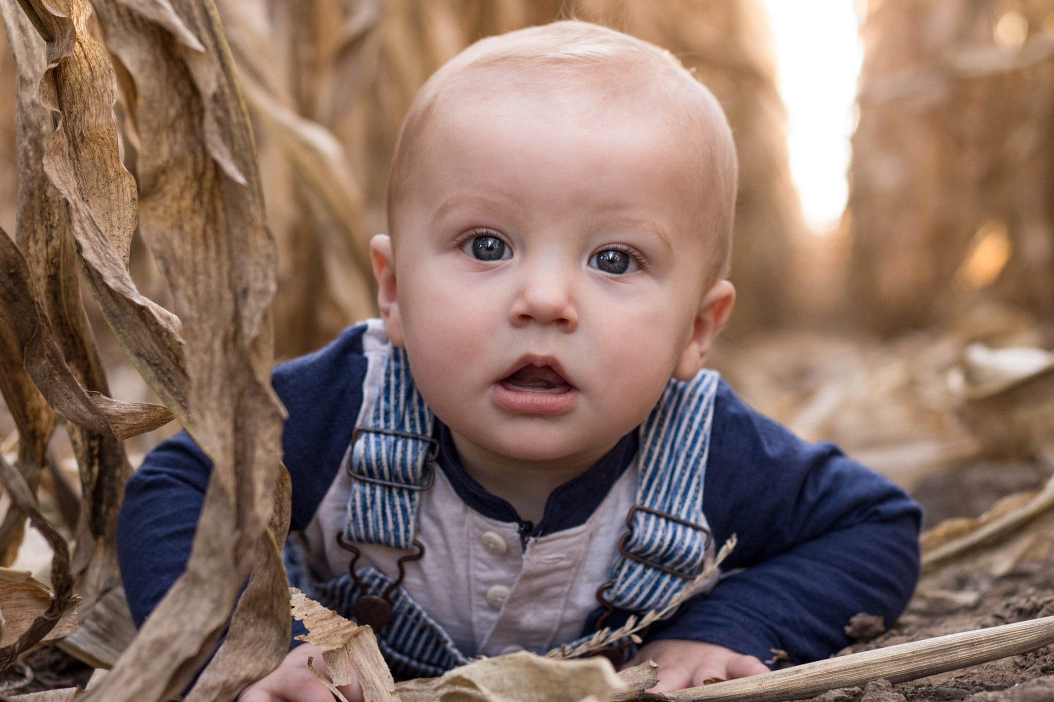 Canon EOS 760D (EOS Rebel T6s / EOS 8000D) + Canon EF 50mm F1.8 II sample photo. Sunset in the corn photography