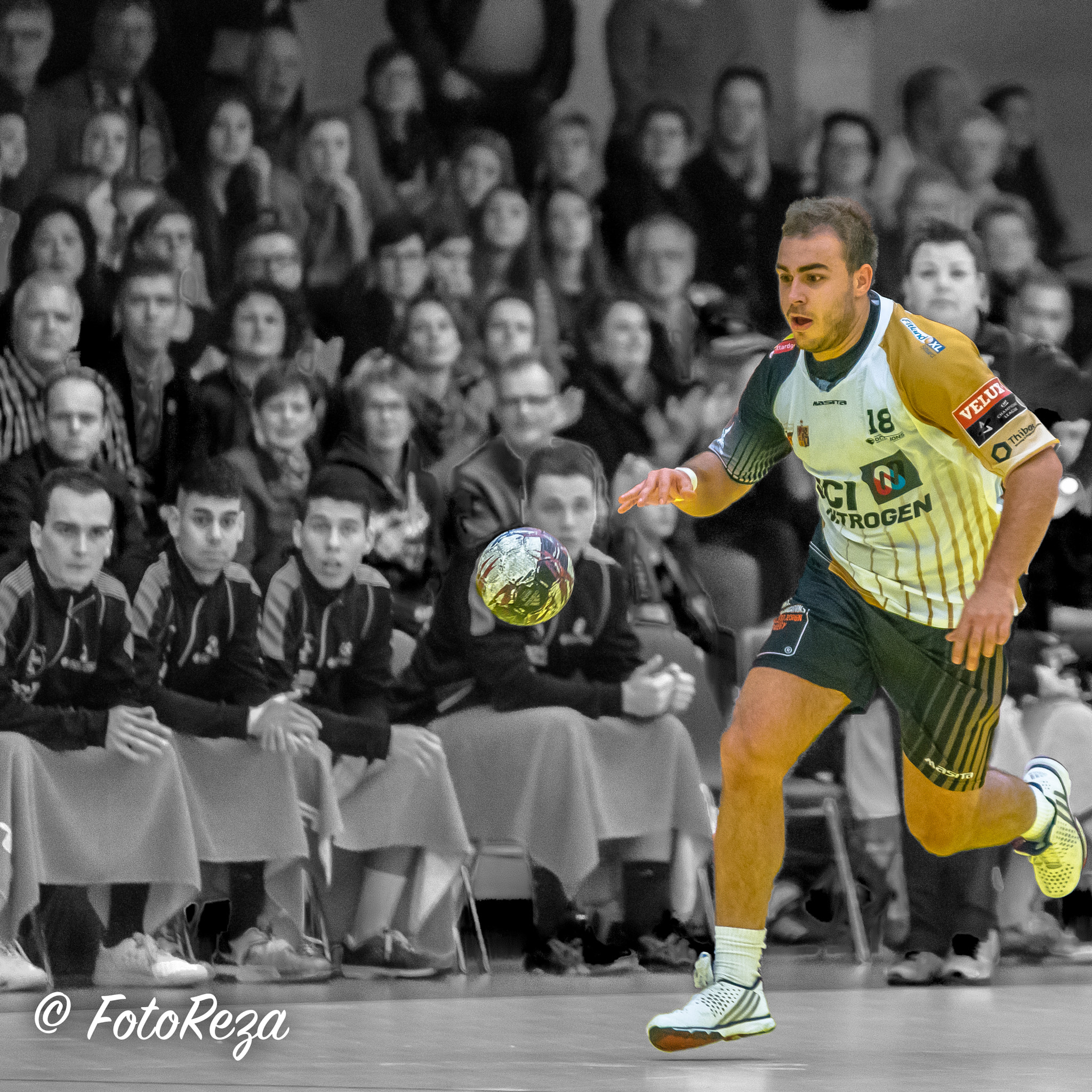 Sigma 70-200mm F2.8 EX DG OS HSM sample photo. Oci-lions handbal photography