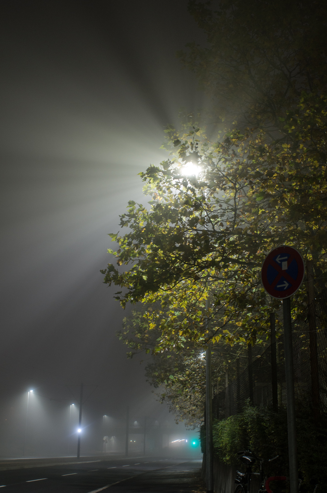 Sony SLT-A55 (SLT-A55V) sample photo. Pencil of rays photography