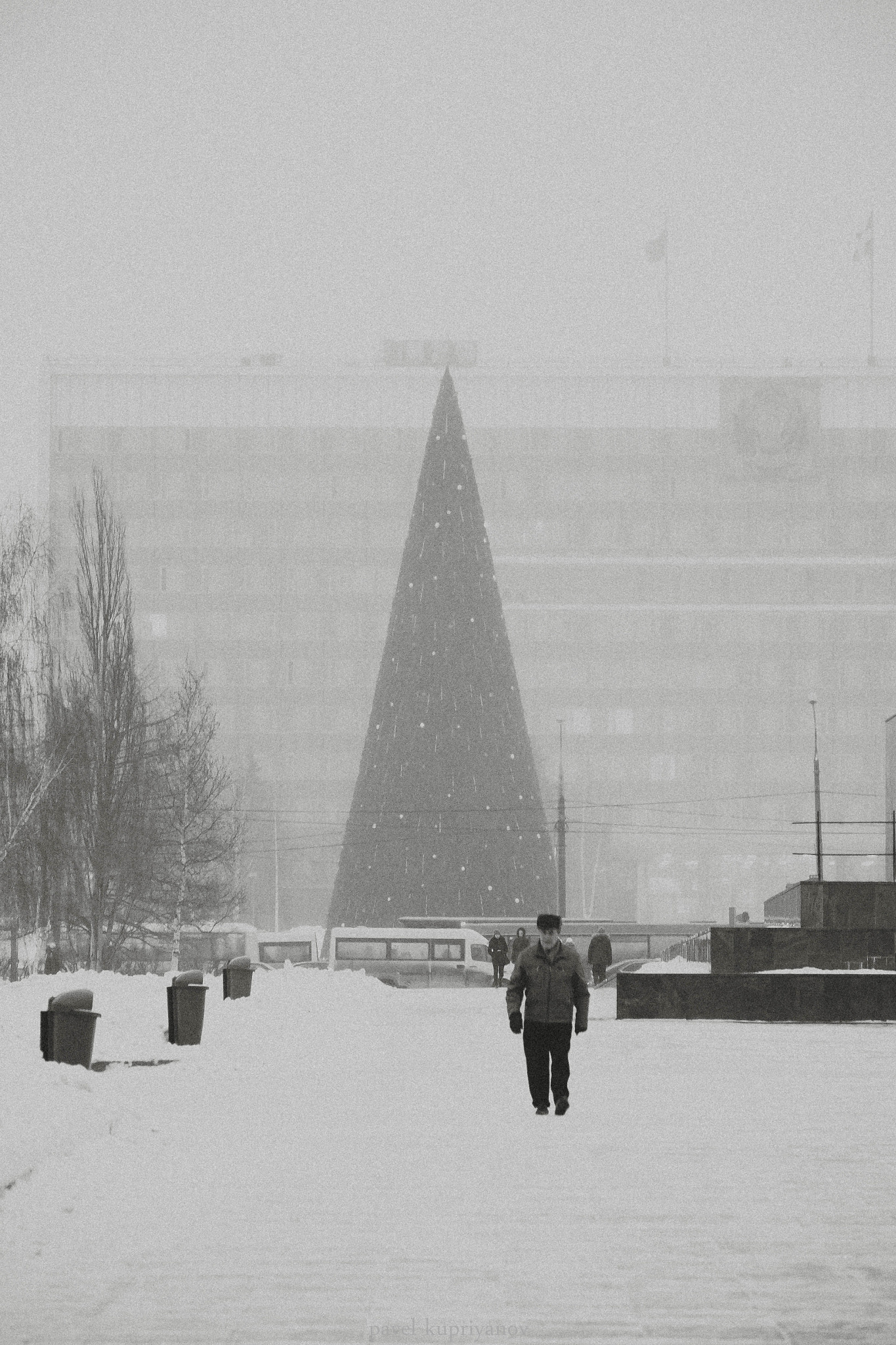 Fujifilm X-A1 + Fujifilm XC 50-230mm F4.5-6.7 OIS sample photo. Ёлка photography