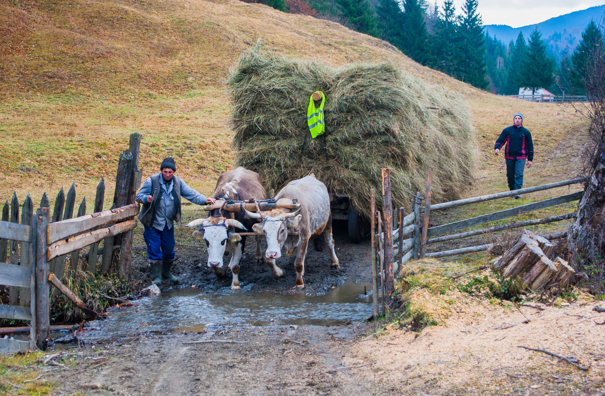 Pentax K-m (K2000) sample photo. Traditional romania photography