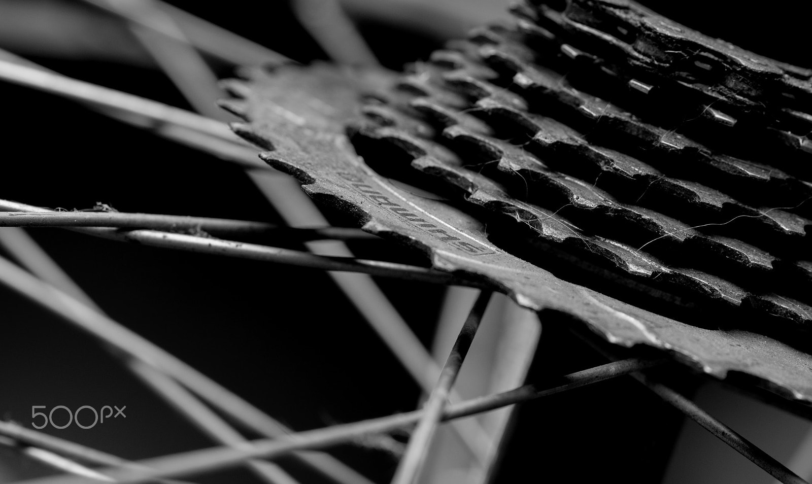 Sony SLT-A77 + Sigma 70mm F2.8 EX DG Macro sample photo. Shimano photography