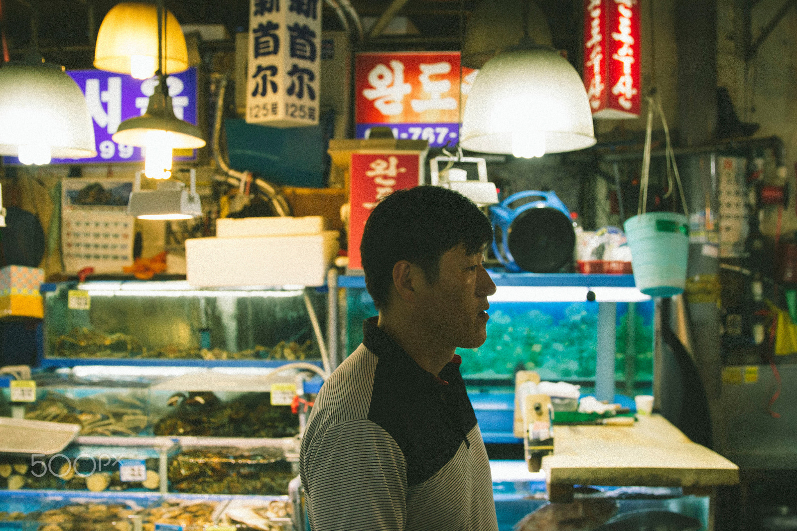 Canon EF 24-70mm F2.8L II USM sample photo. Straight ahead photography