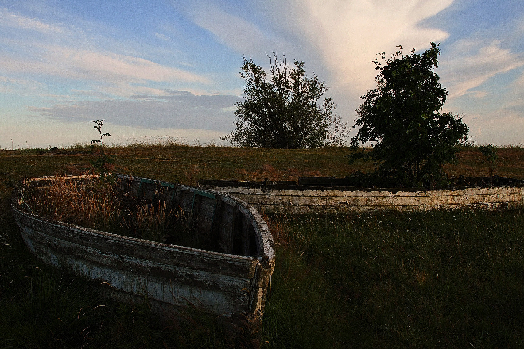 Canon EOS 7D + Canon EF 20mm F2.8 USM sample photo