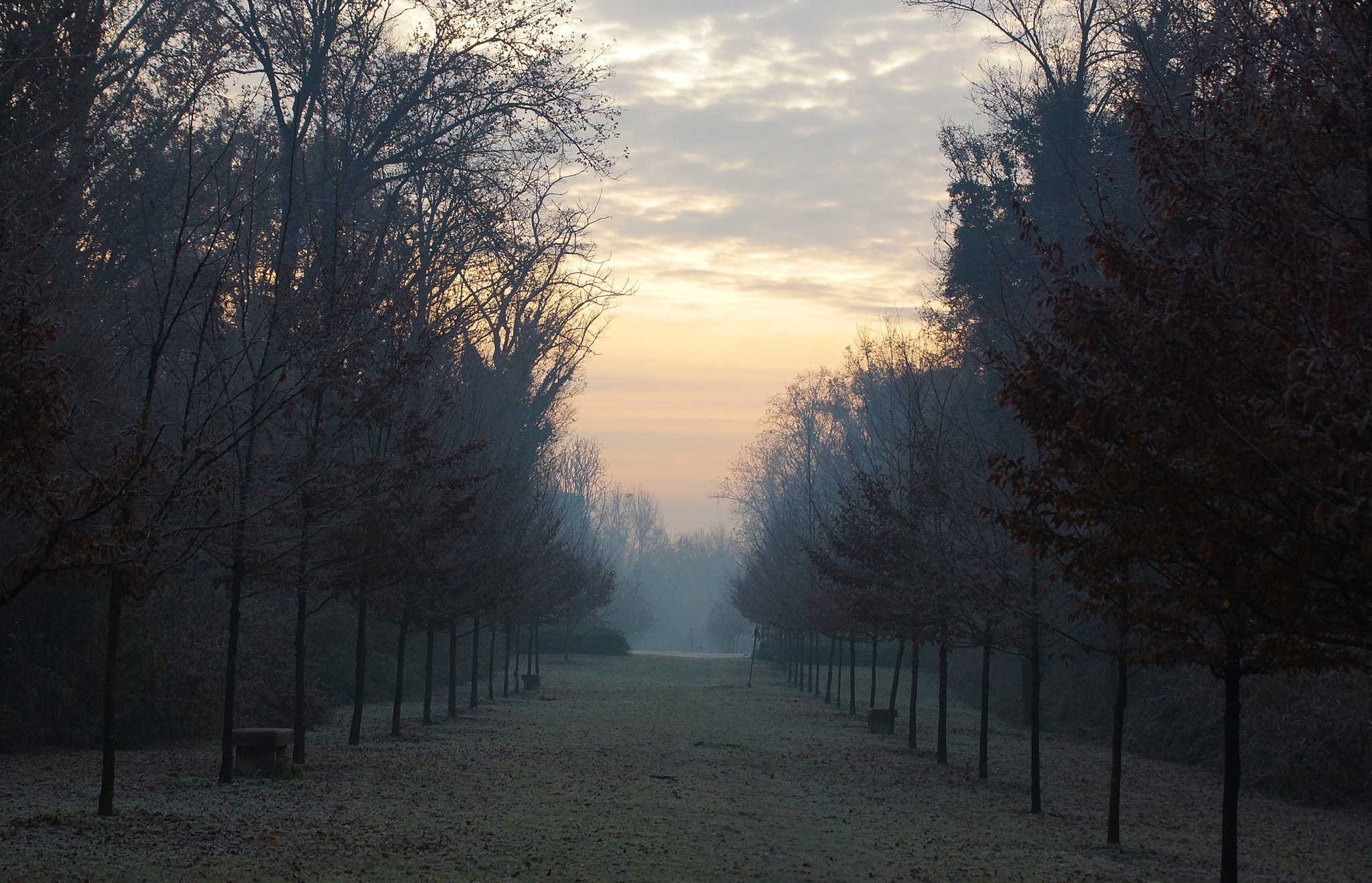Sony SLT-A77 + DT 18-300mm F3.5-6.3 sample photo. Winter dawn photography