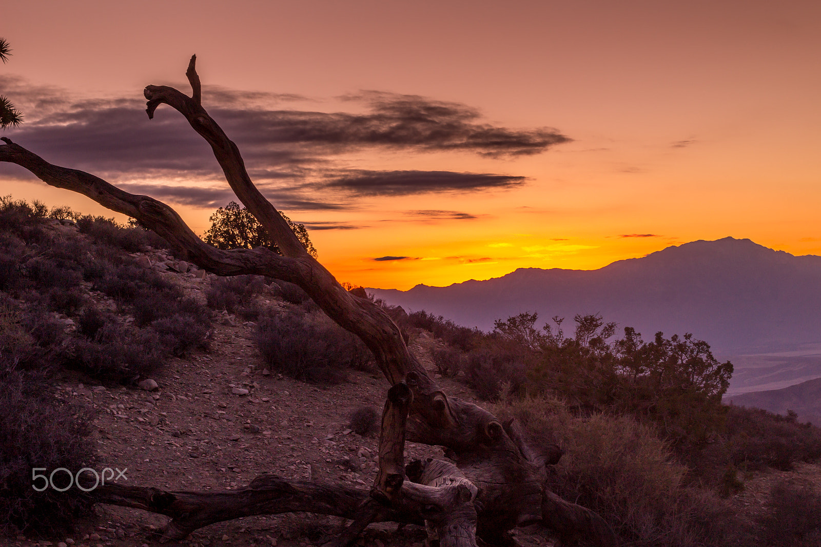 Canon EF 40mm F2.8 STM sample photo. A cold sunset photography