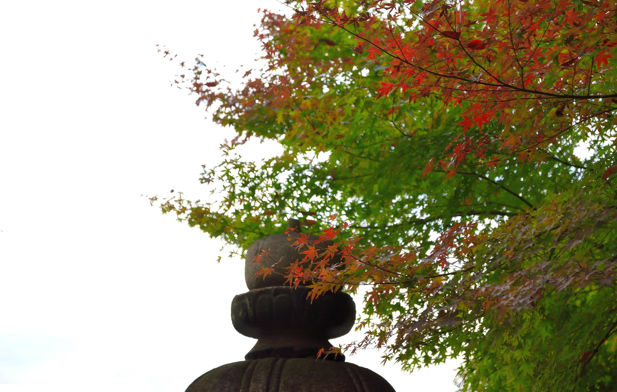 Sigma 17-70mm F2.8-4 DC Macro OS HSM | C sample photo. Rikugien20151121 photography