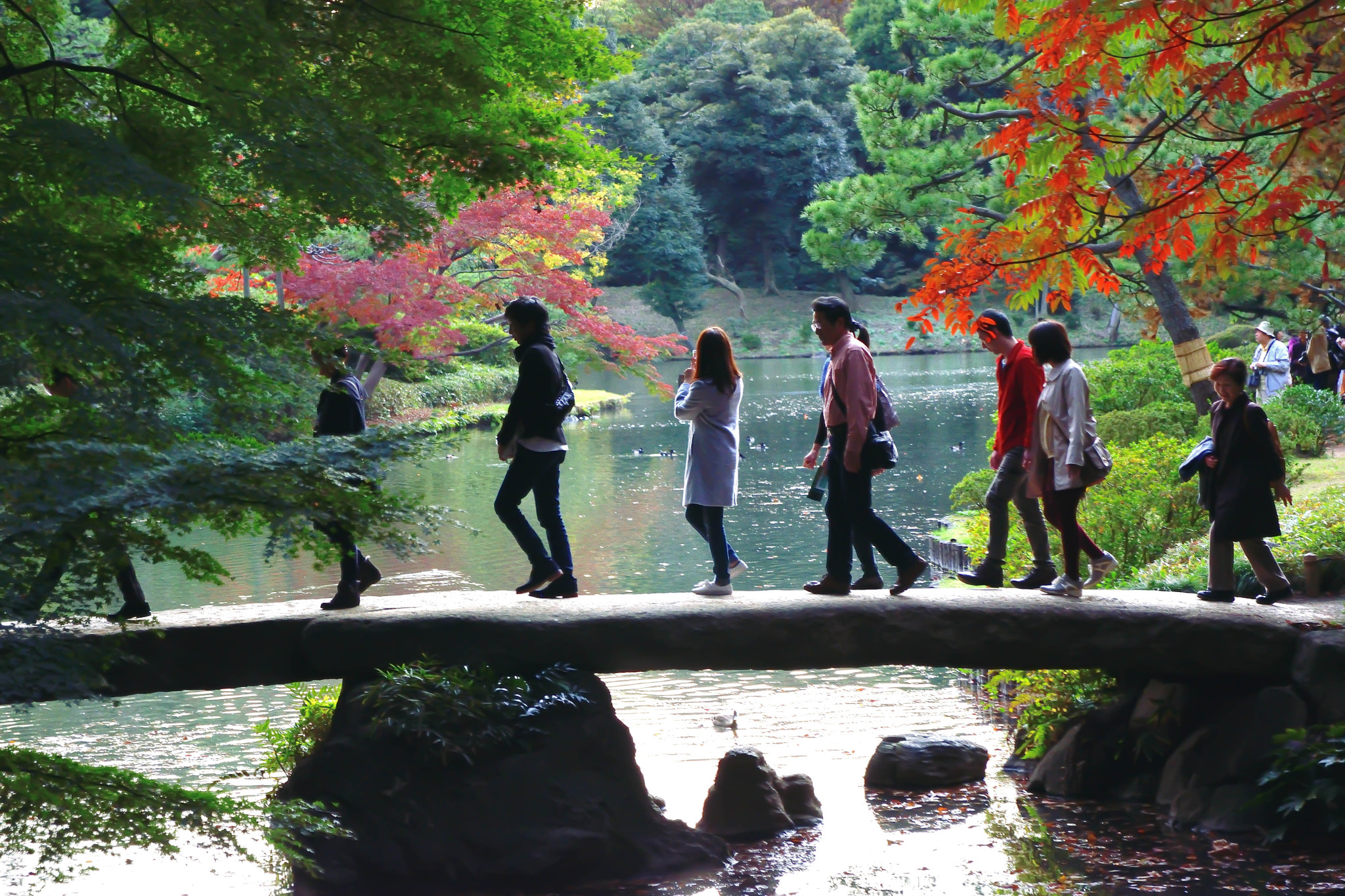 Sigma 17-70mm F2.8-4 DC Macro OS HSM | C sample photo. Rikugien20151121 photography